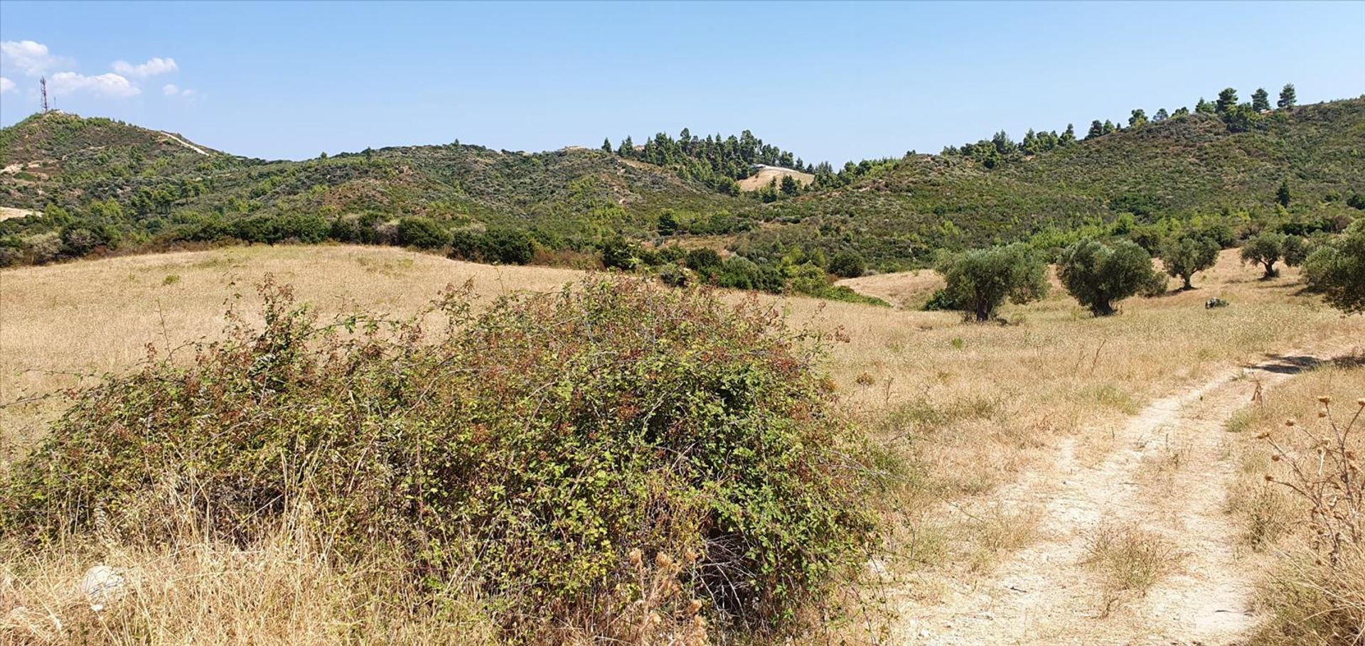 Land in Kassandreia, Kentriki Makedonia 10796326