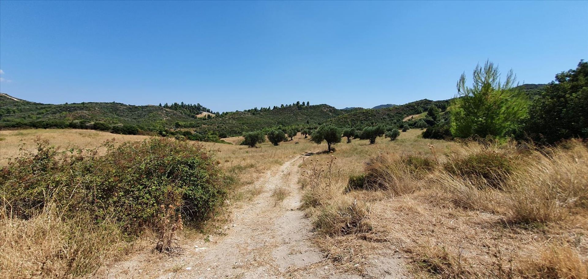 Land in Kassandreia, Kentriki Makedonia 10796326