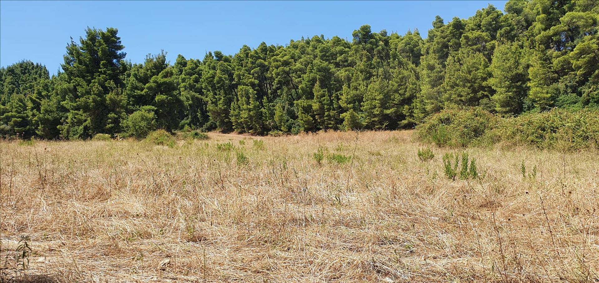 Land in Neos Marmaras, Kentriki Makedonia 10796327