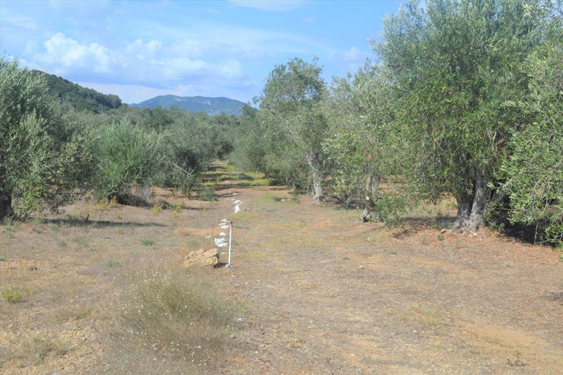 Land in Stavros, Ionië Nisia 10796338