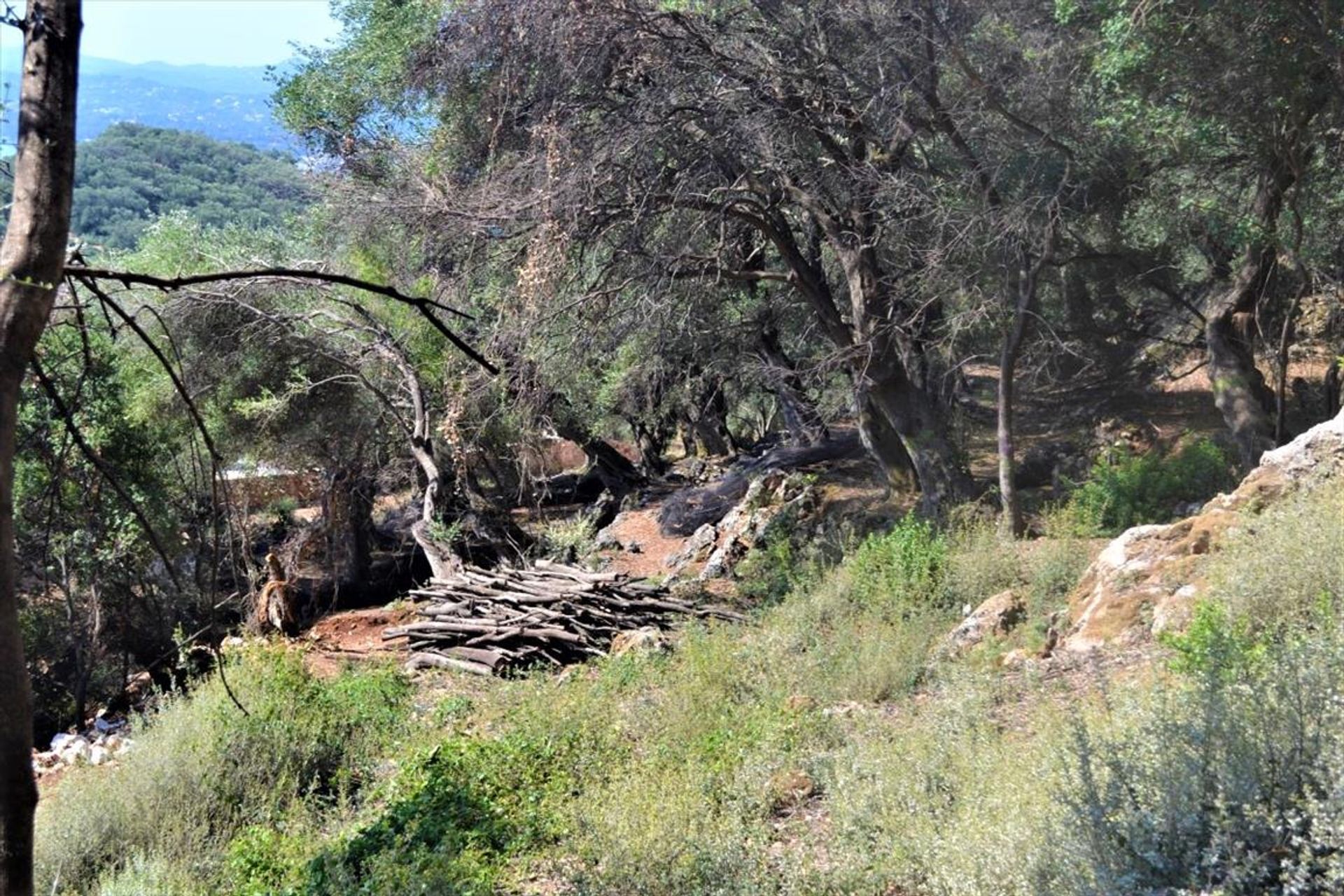 Land in Agios Markos, Ionië Nisia 10796383