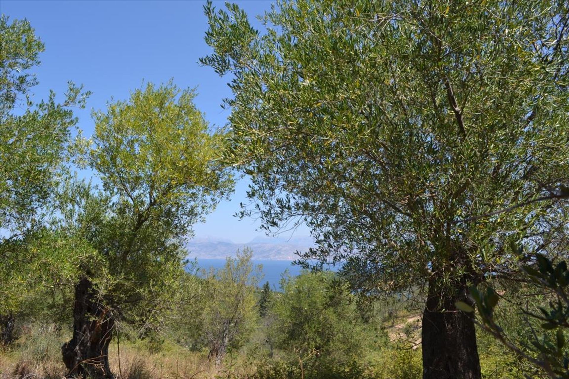 Land i Kassiopi, Ionia Nisia 10796393