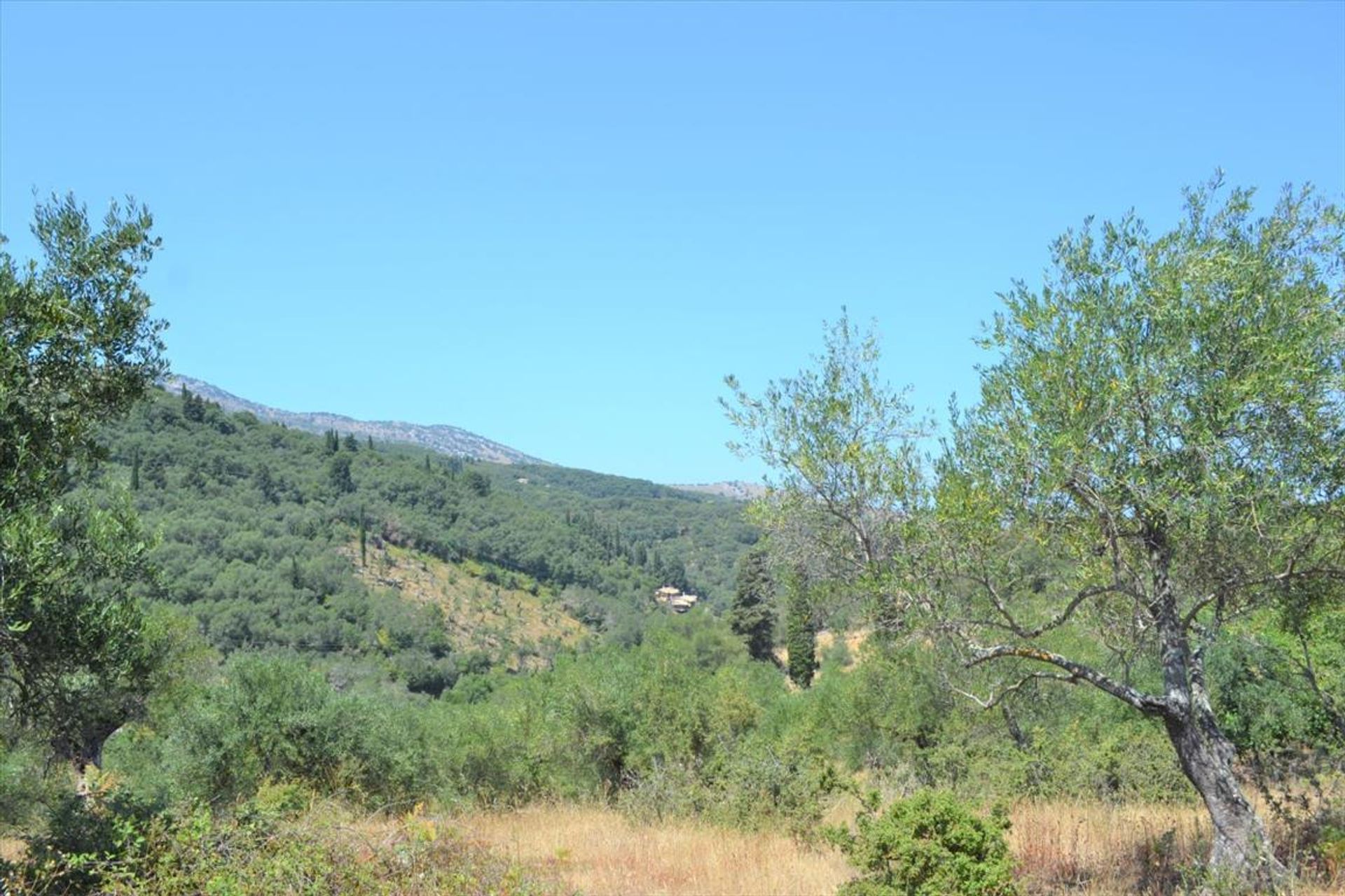 Land i Kassiopi, Ionia Nisia 10796394