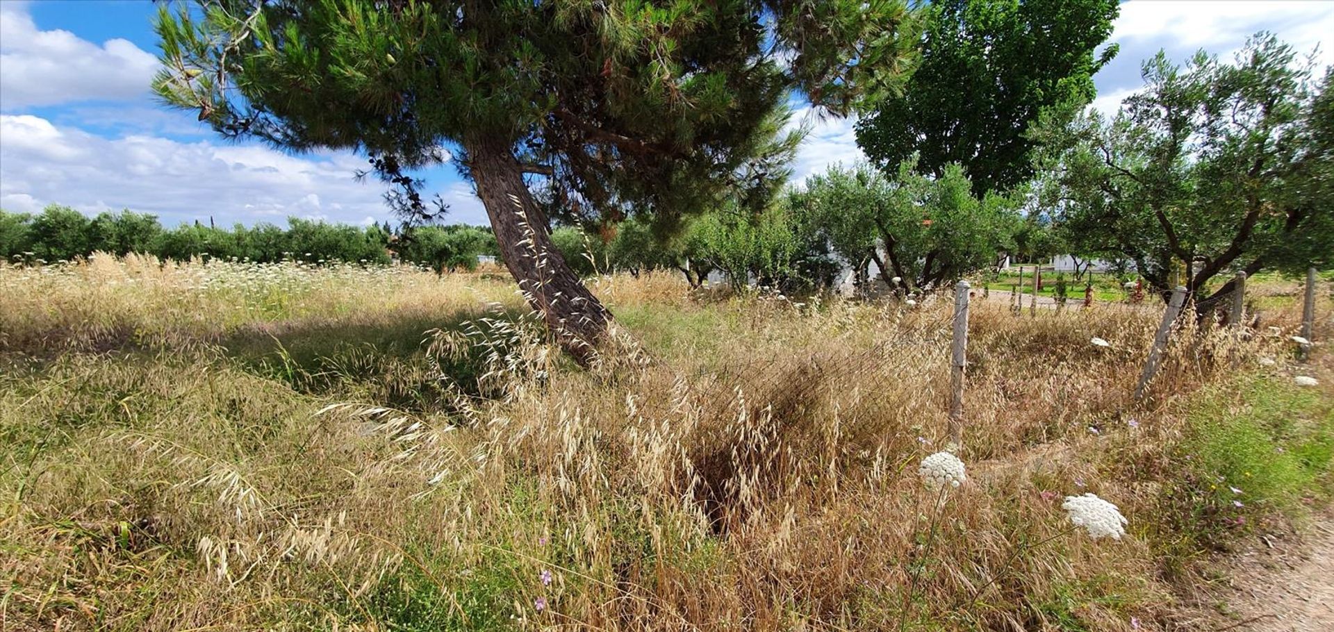 Terre dans Nouvelle Poteidaia, Kentriki Macédoine 10796541