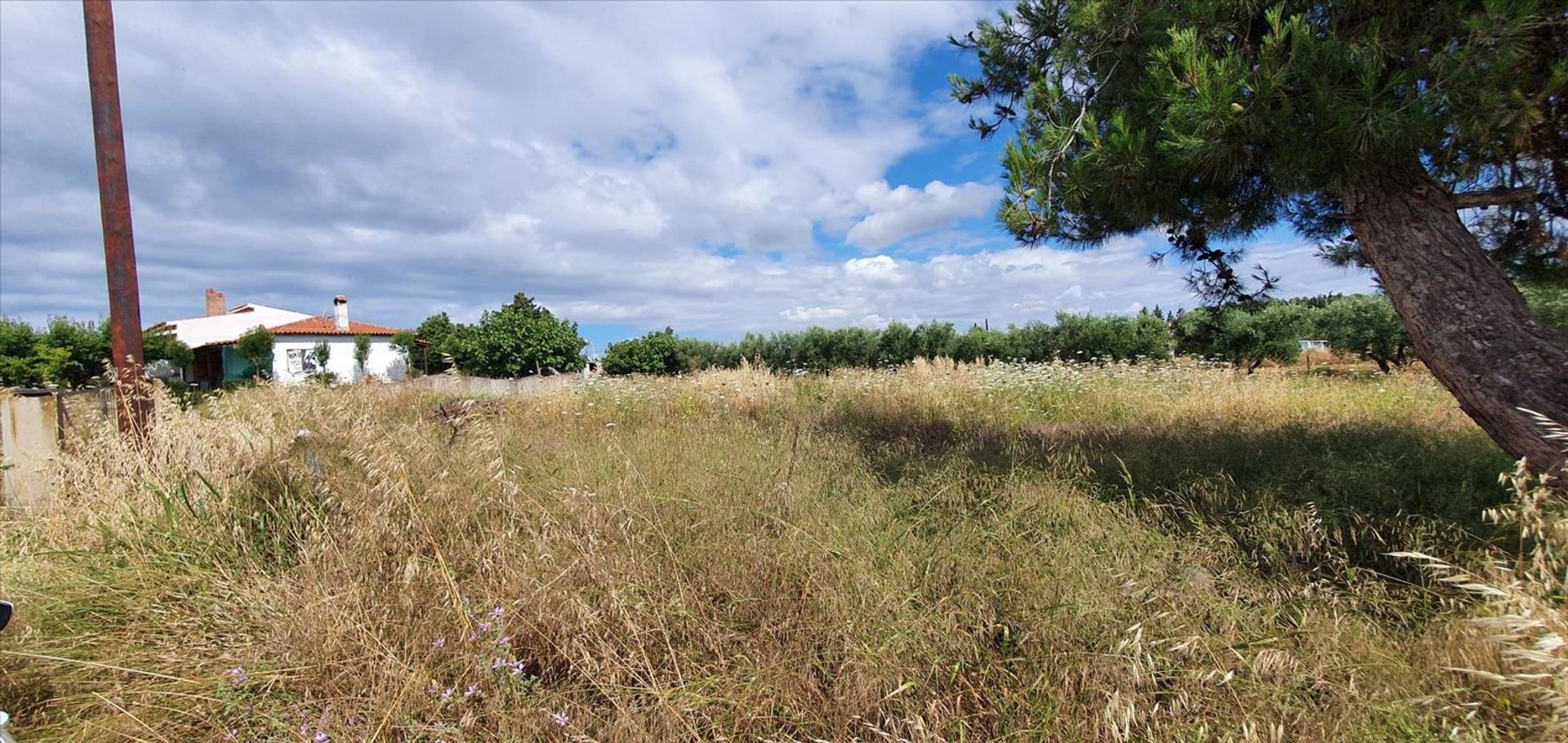 Terre dans Nouvelle Poteidaia, Kentriki Macédoine 10796541