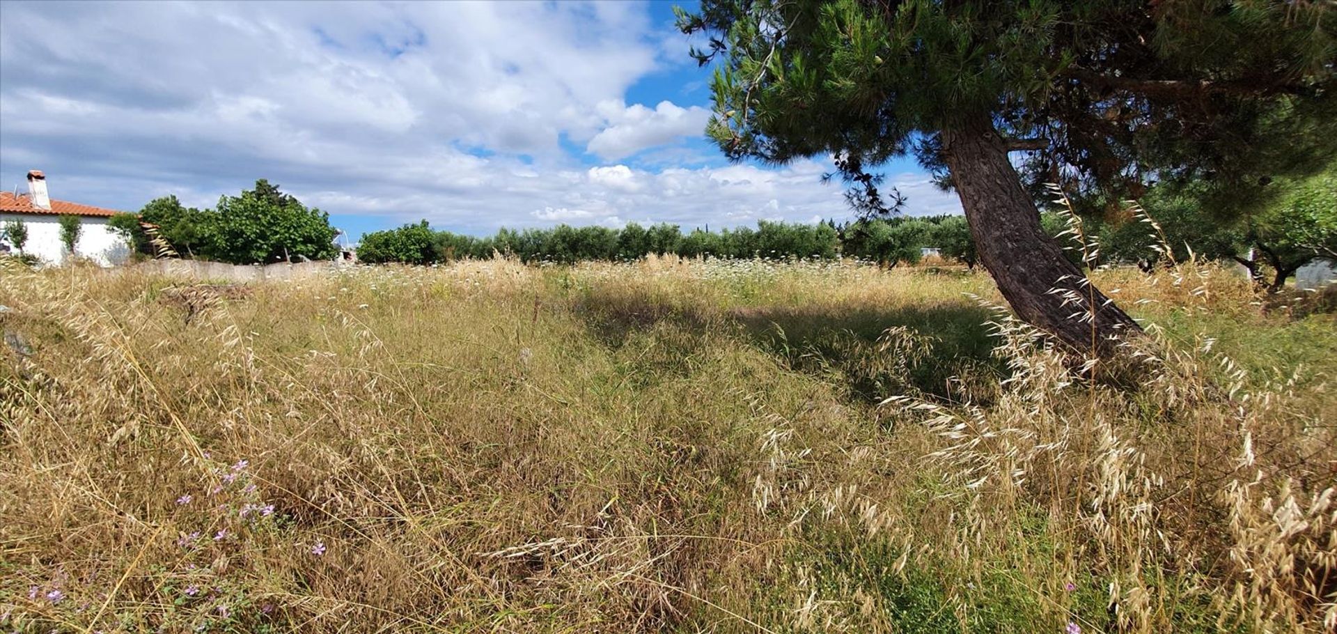 Terre dans Nouvelle Poteidaia, Kentriki Macédoine 10796541