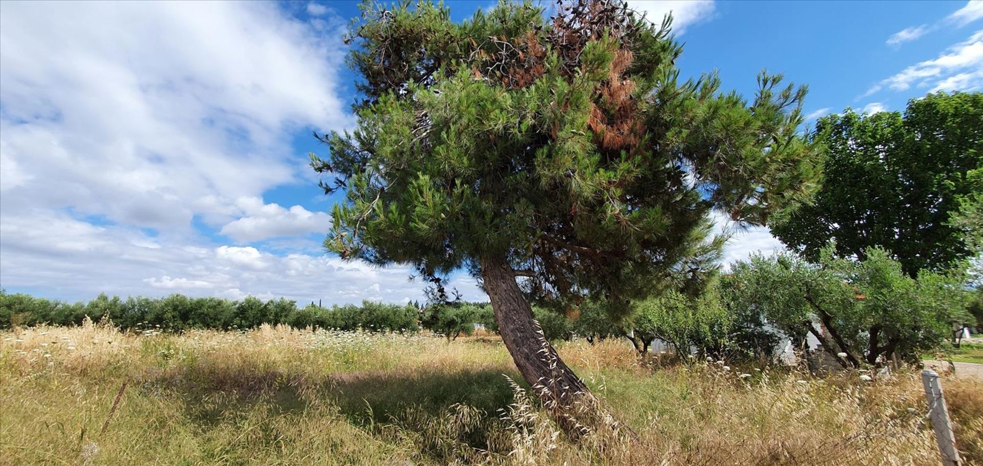 Terre dans Nouvelle Poteidaia, Kentriki Macédoine 10796541