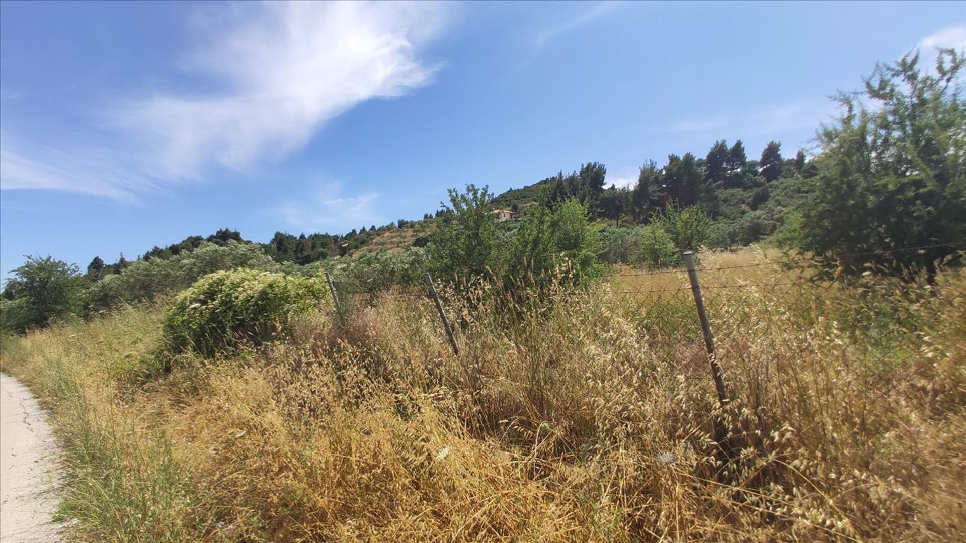 Land in Agios Nikolaos,  10796598