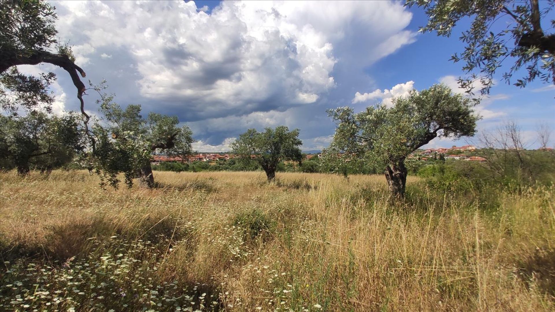 Land in Agios Nikolaos,  10796598