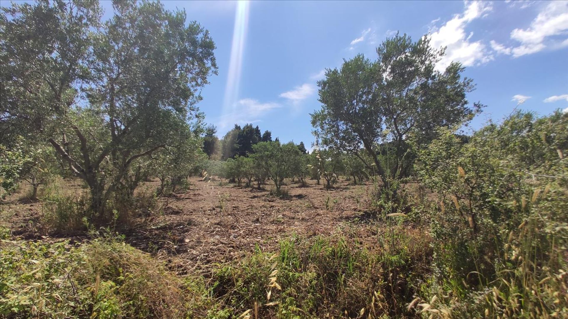 Land in Agios Nikolaos,  10796598