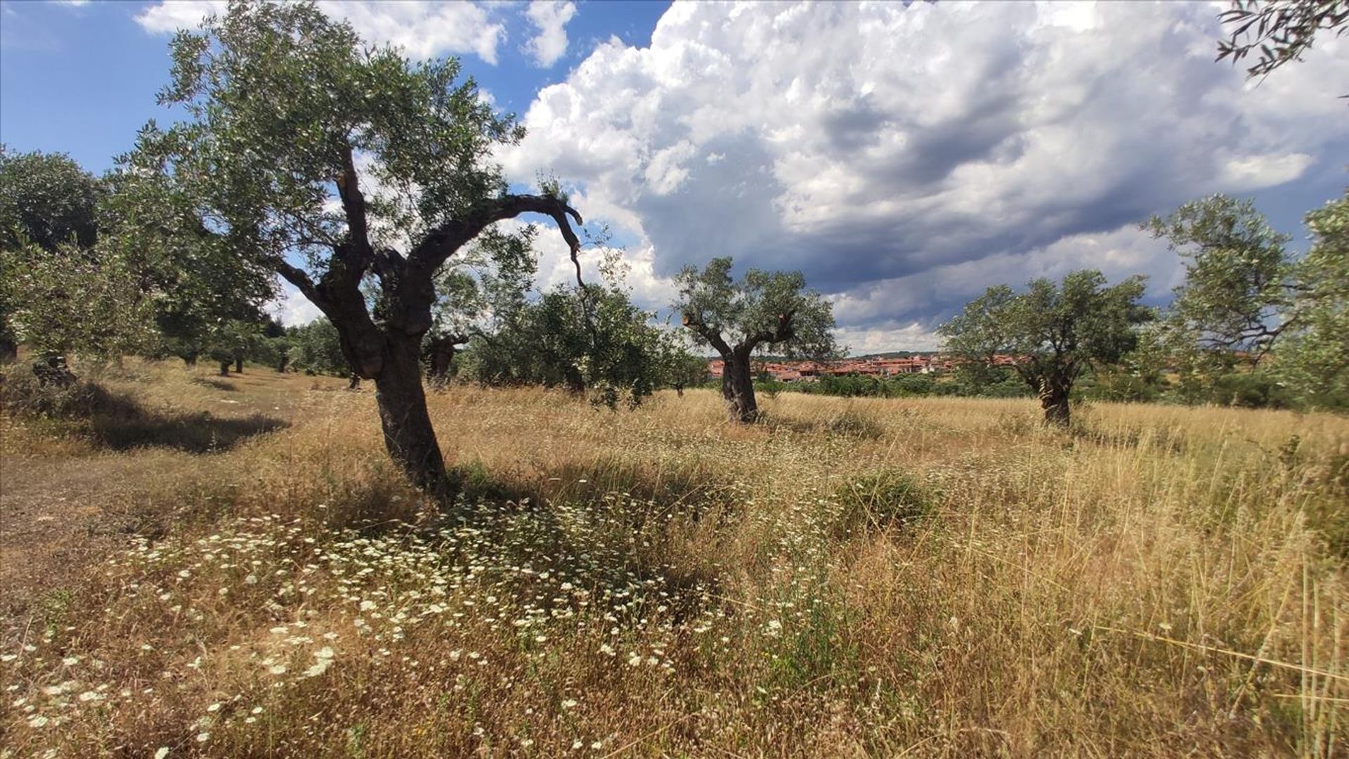 Tanah di Agios Nikolaos,  10796598