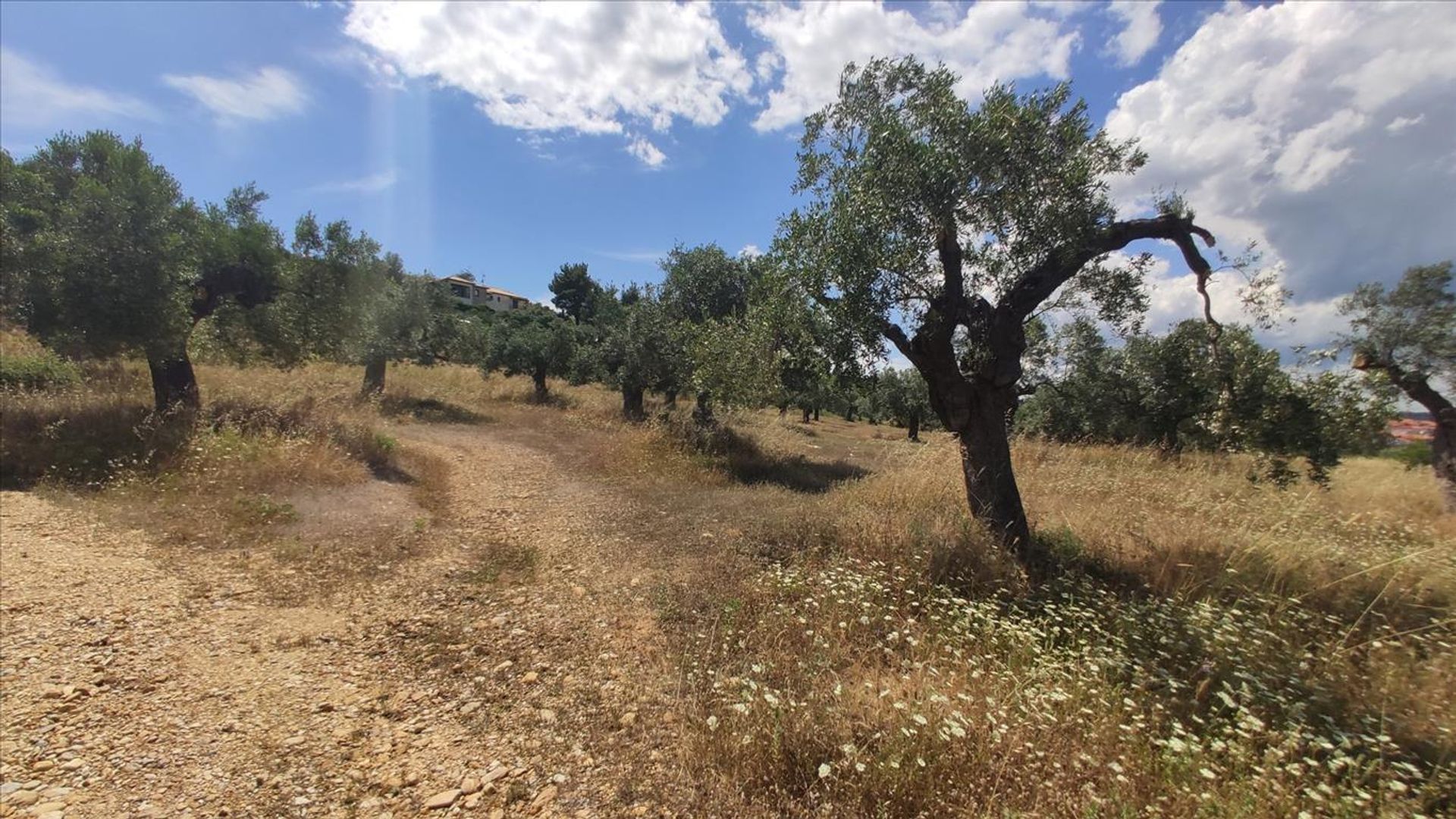 Land in Agios Nikolaos,  10796598