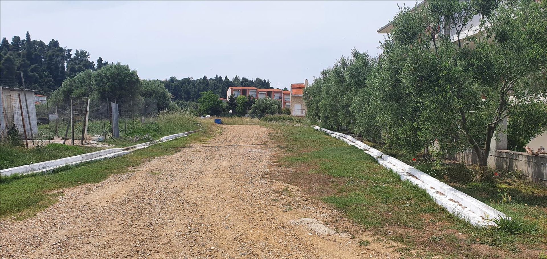 Land i Cassandreia, Kentriki Makedonia 10796613