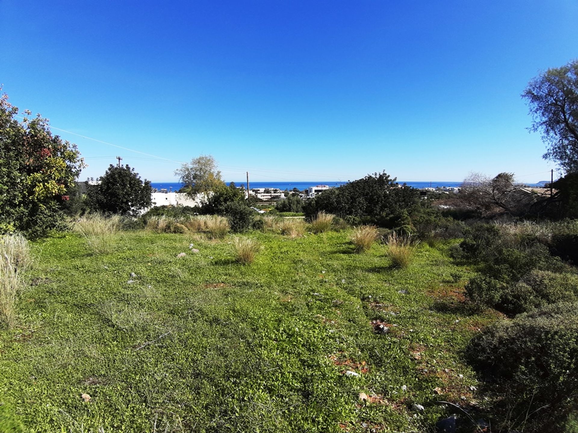 Land im Malia, Kriti 10796775