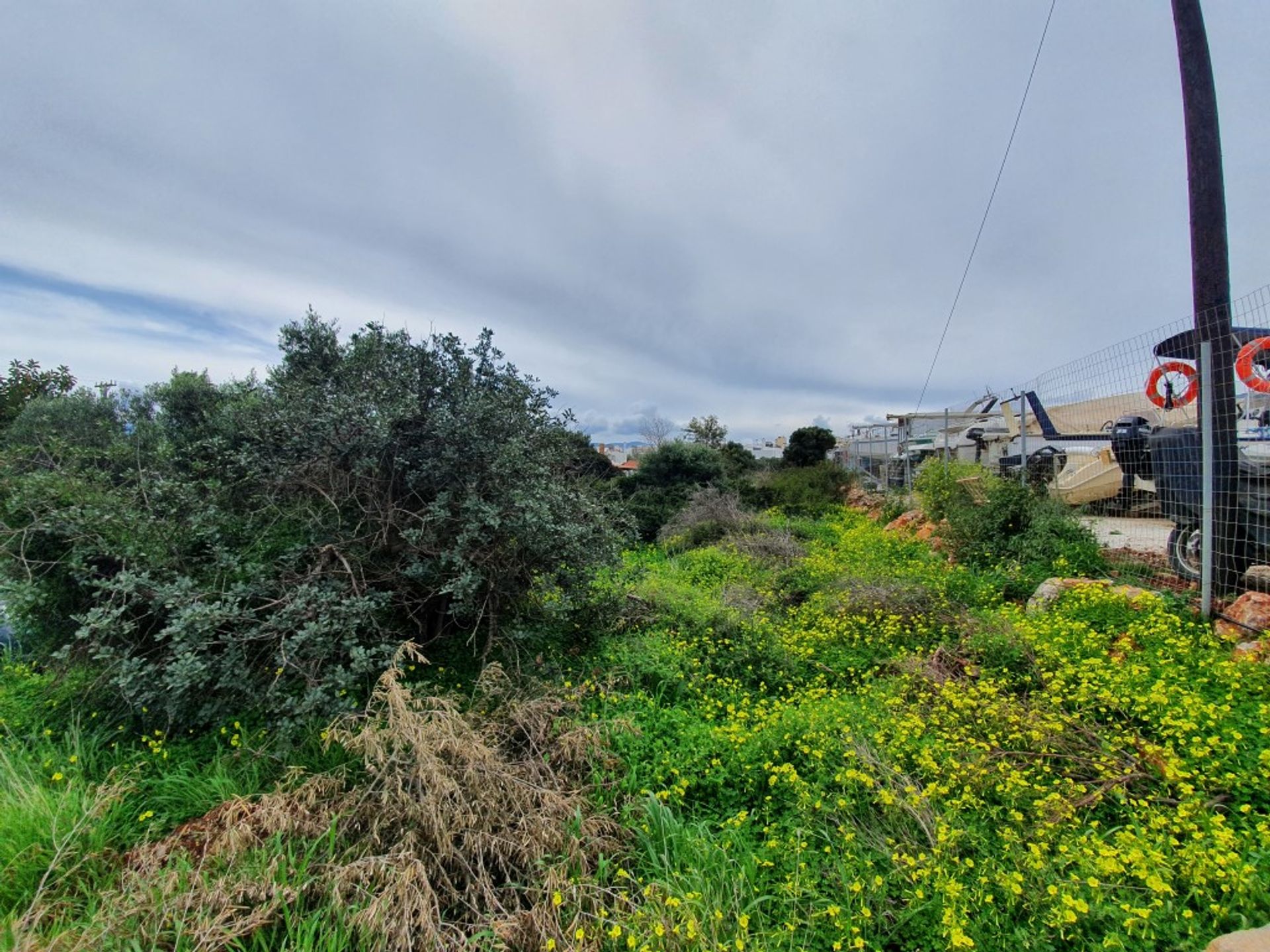 Land im Agios Nikolaos, Kriti 10796798