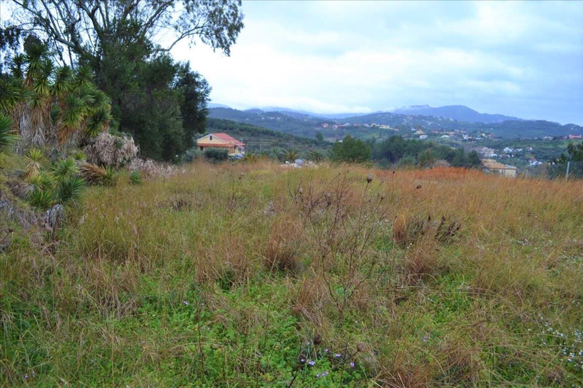 Land im Agios Stefanos,  10796880