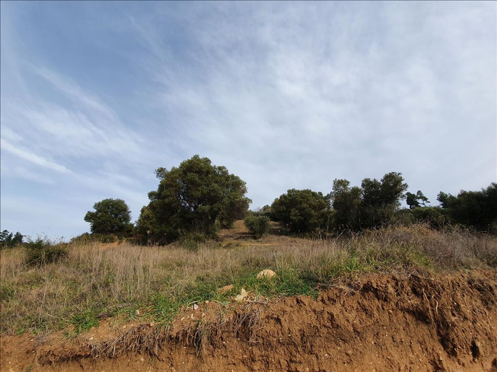 Tanah dalam Kassandreia, Kentriki Makedonia 10797108