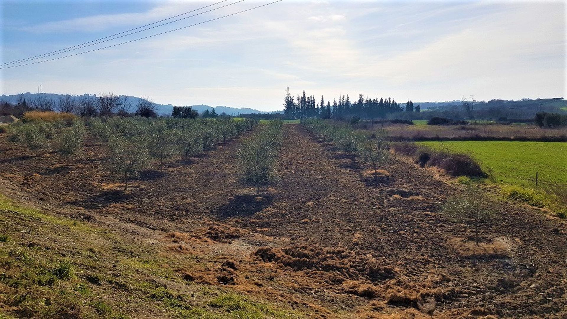 Terre dans Kassandréia, Kentriki Macédoine 10797110