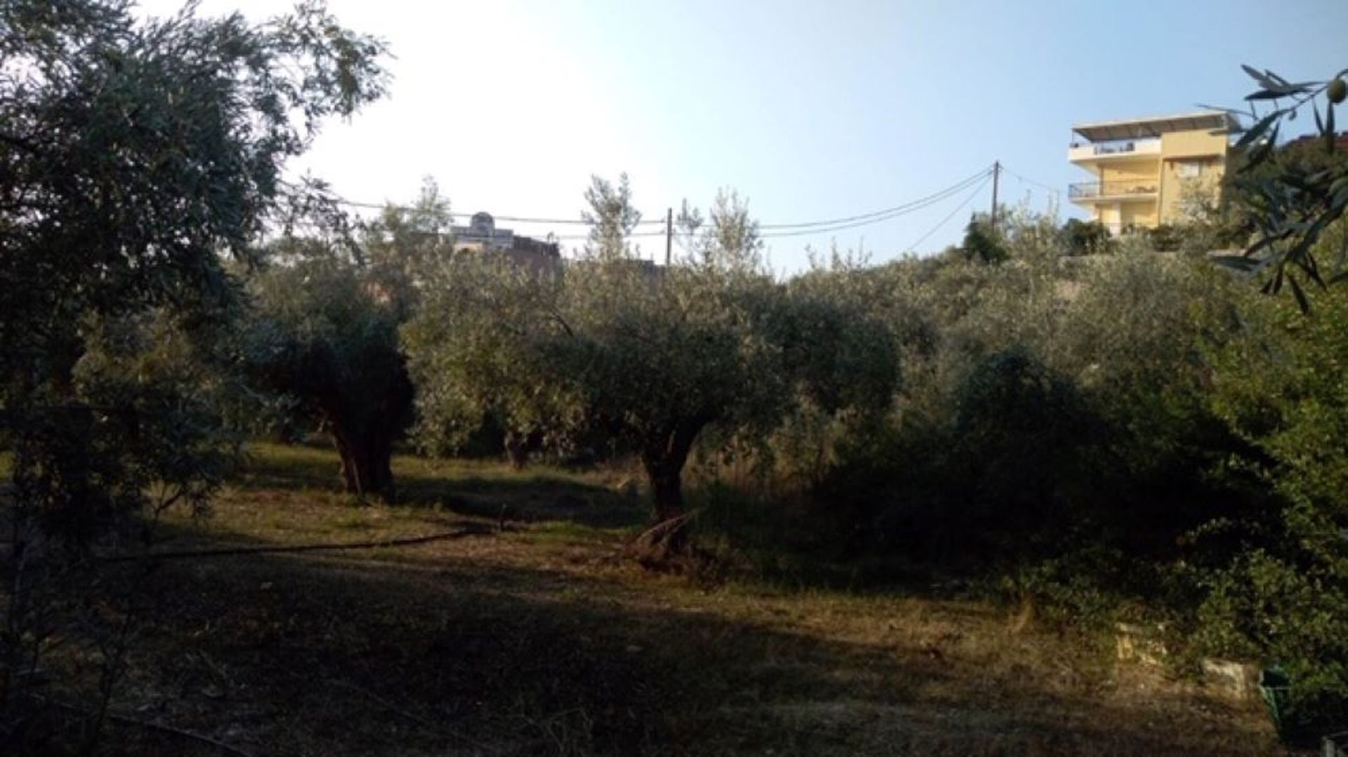 Land in Tolo,  10797128