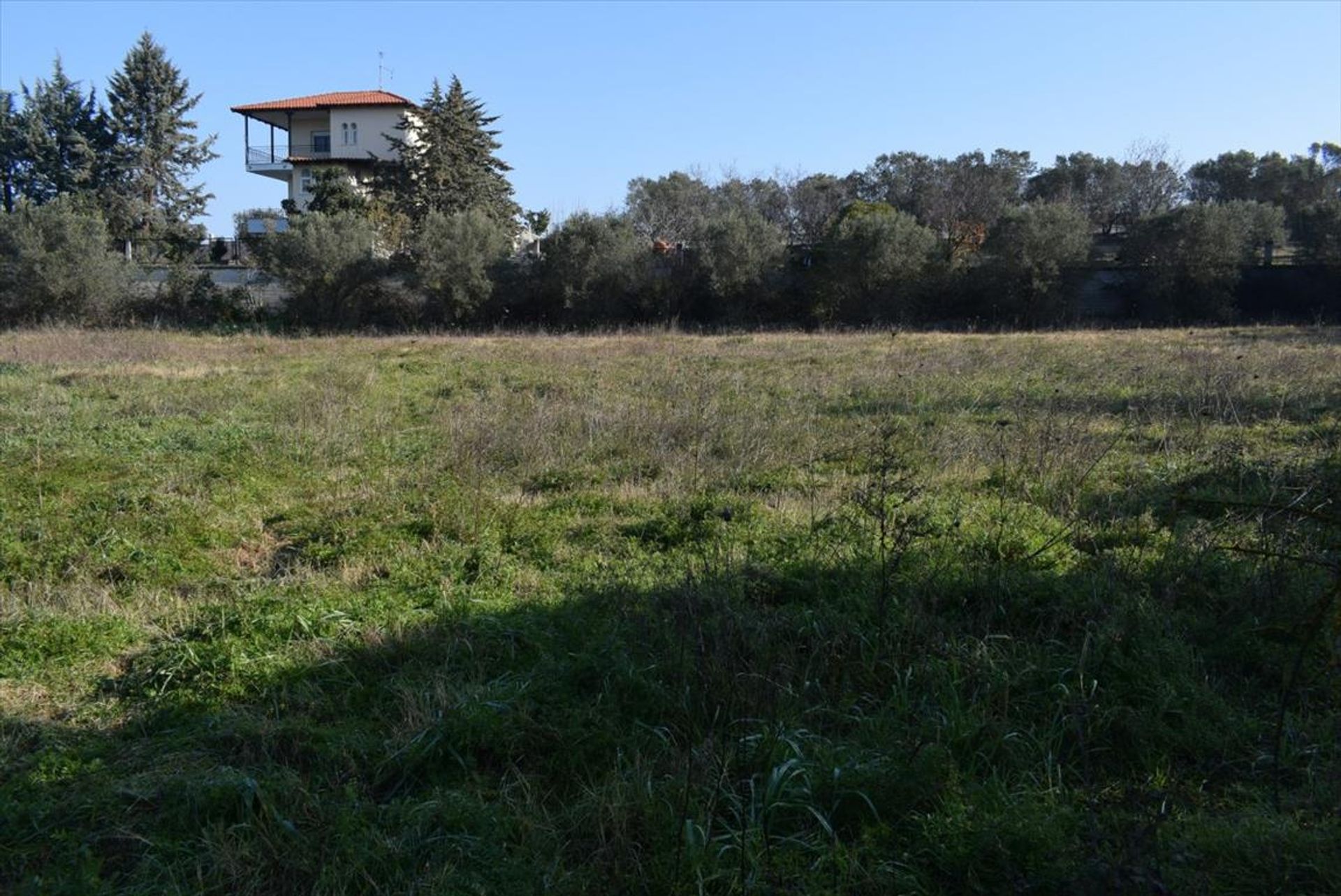 Land in Neo Rysi, Kentriki Makedonia 10797222