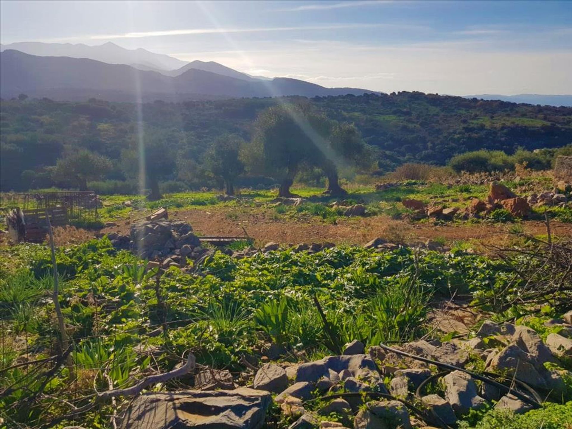 Tierra en Queratídia, criti 10797416