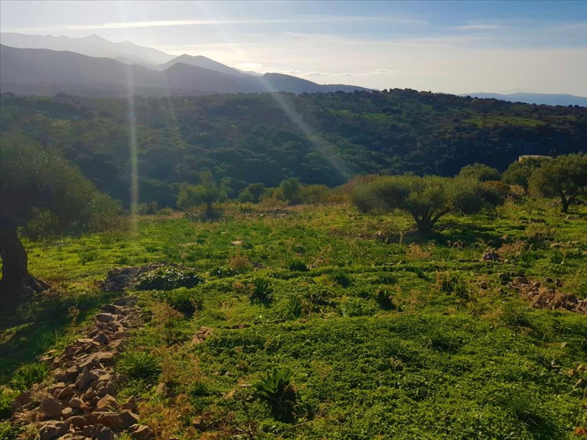 Terra no Queratídios, Criti 10797417