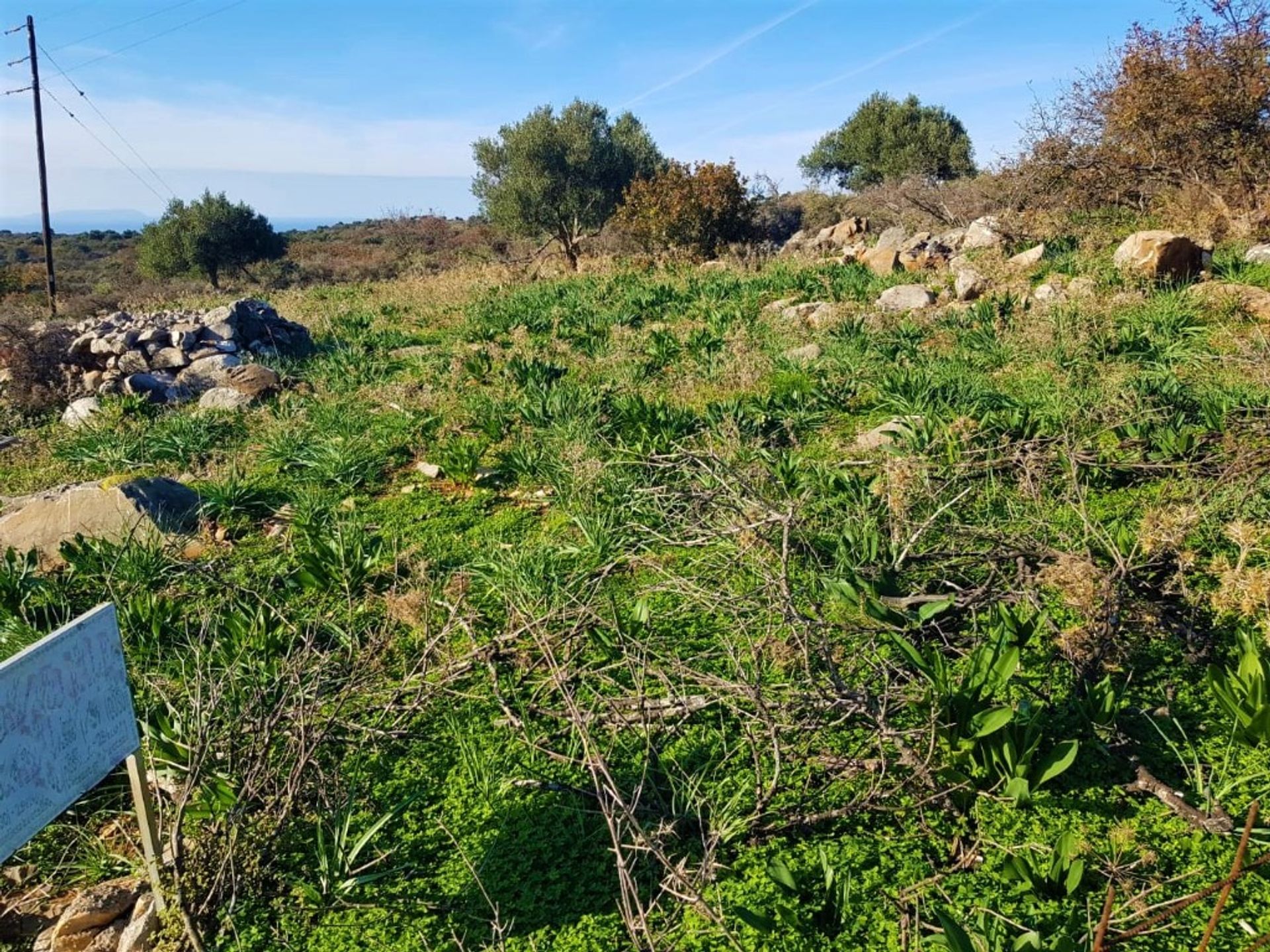 Tierra en Queratídia, criti 10797418