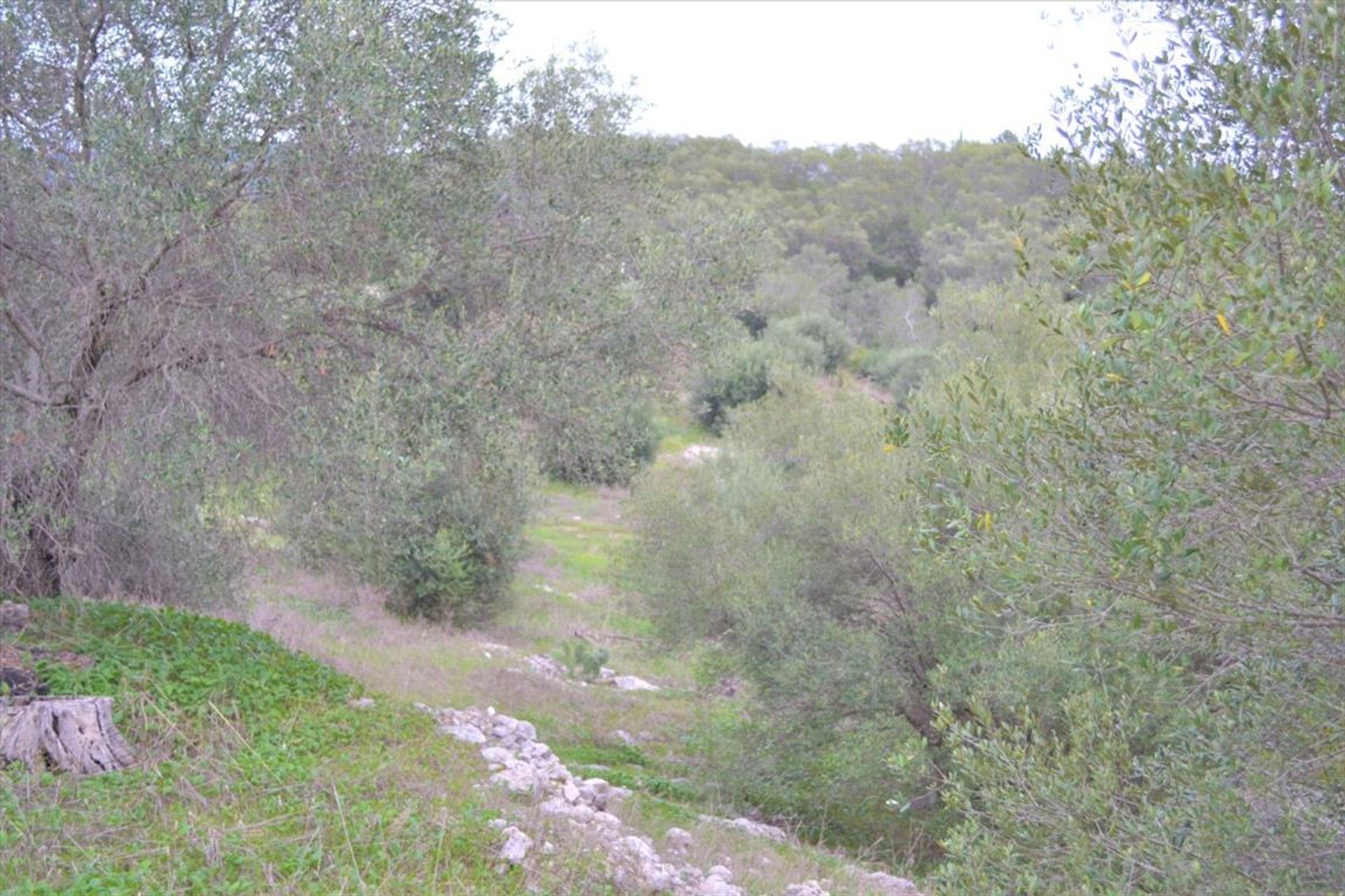 Land in Stavros, Ionië Nisia 10797588