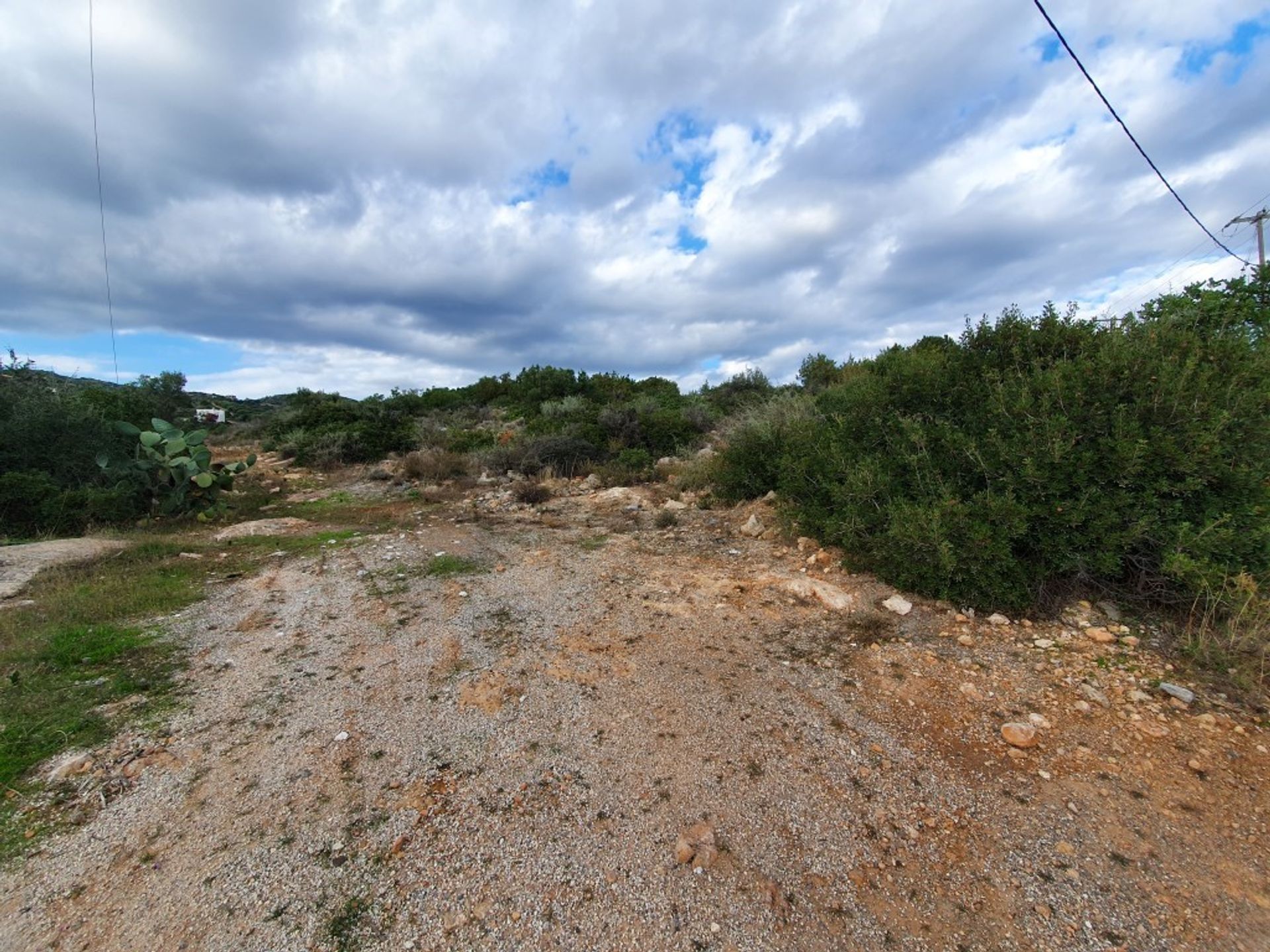 Land im Katsikia, Kriti 10797640