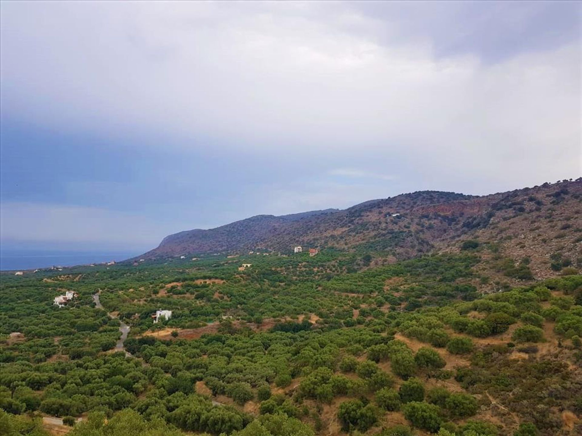 Land in Malia, Kriti 10797770