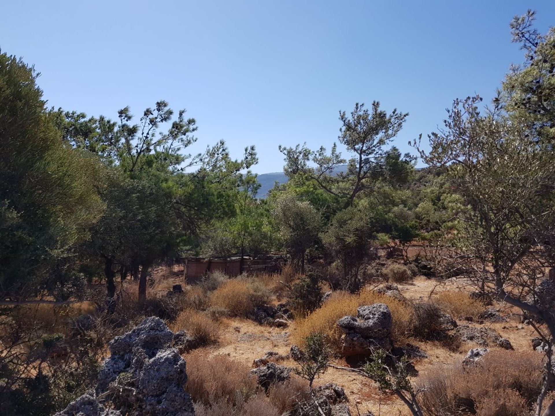 Land in Meseleroi, Kriti 10798247