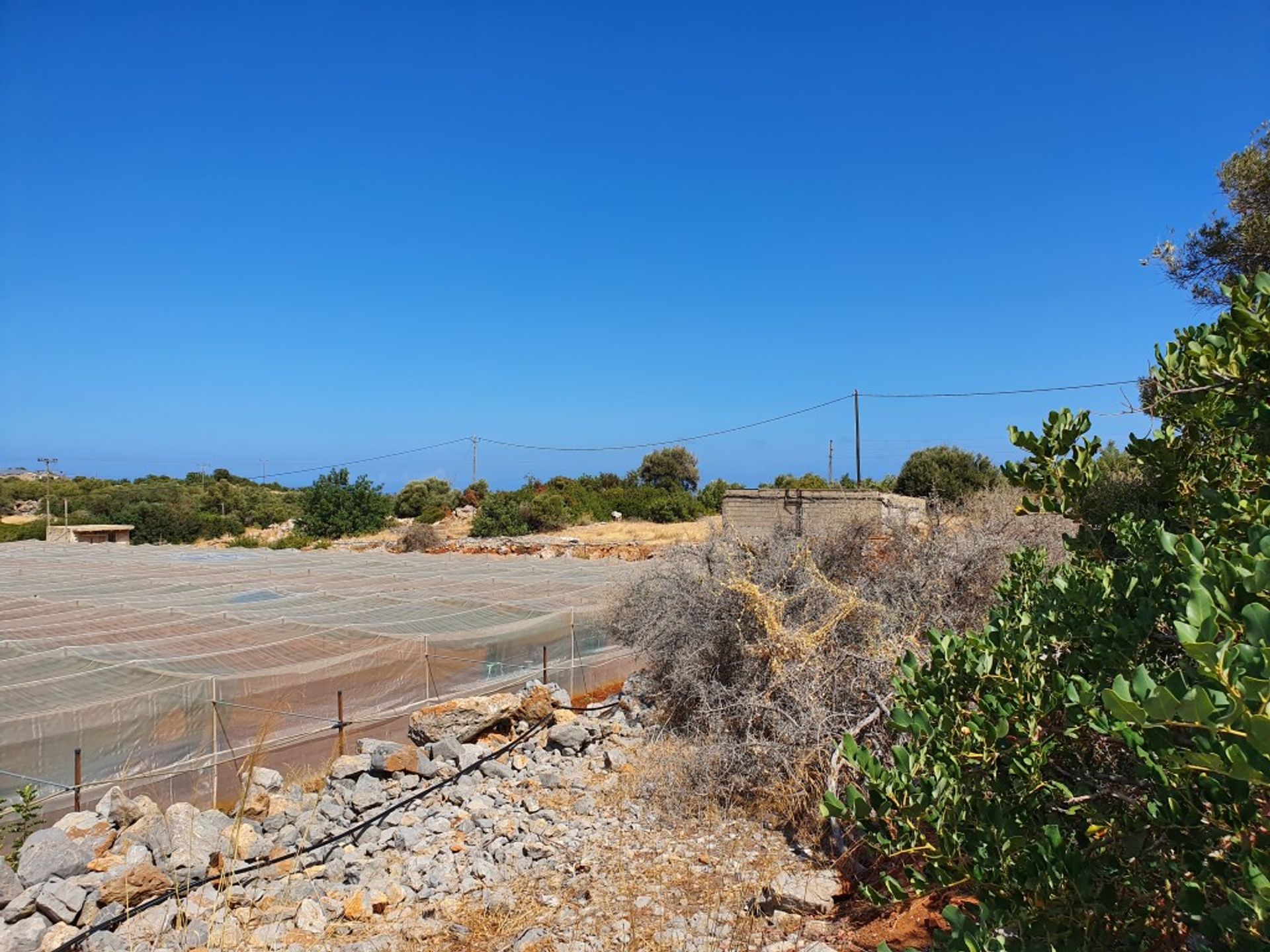 Land in Malia, Kriti 10798301