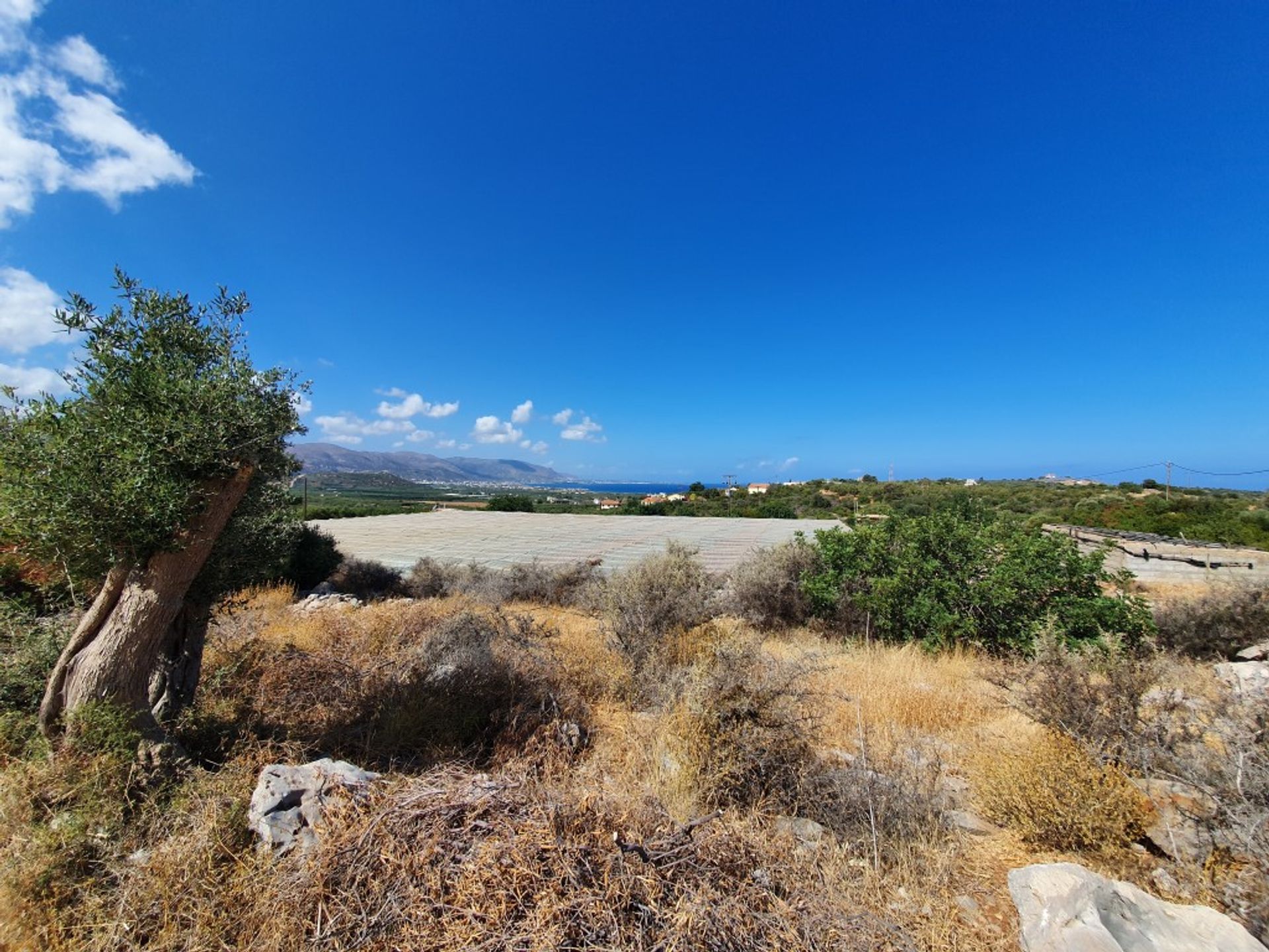 Land in Malia, Kriti 10798301