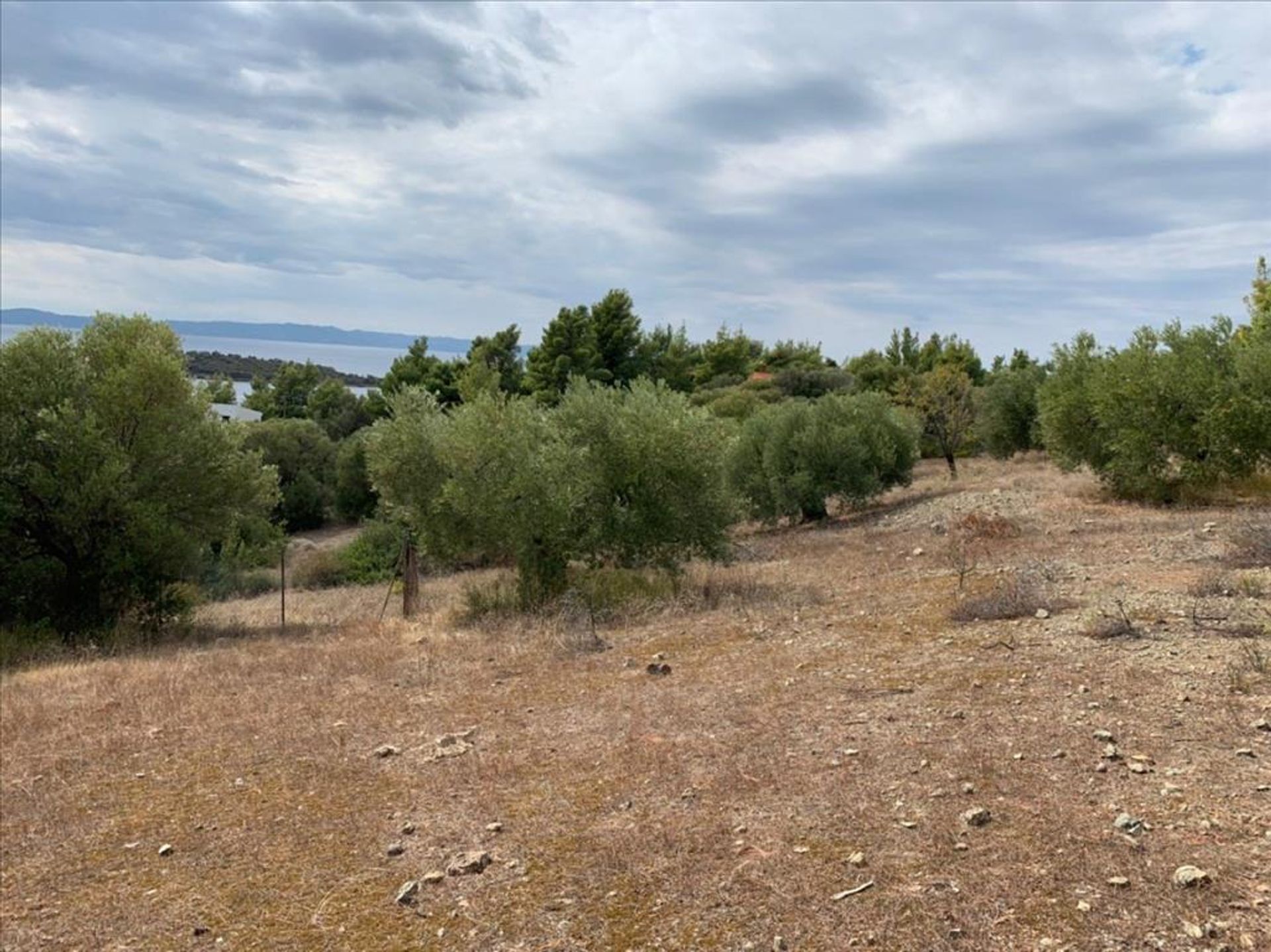 Land in Galini Neou Marmara,  10798339