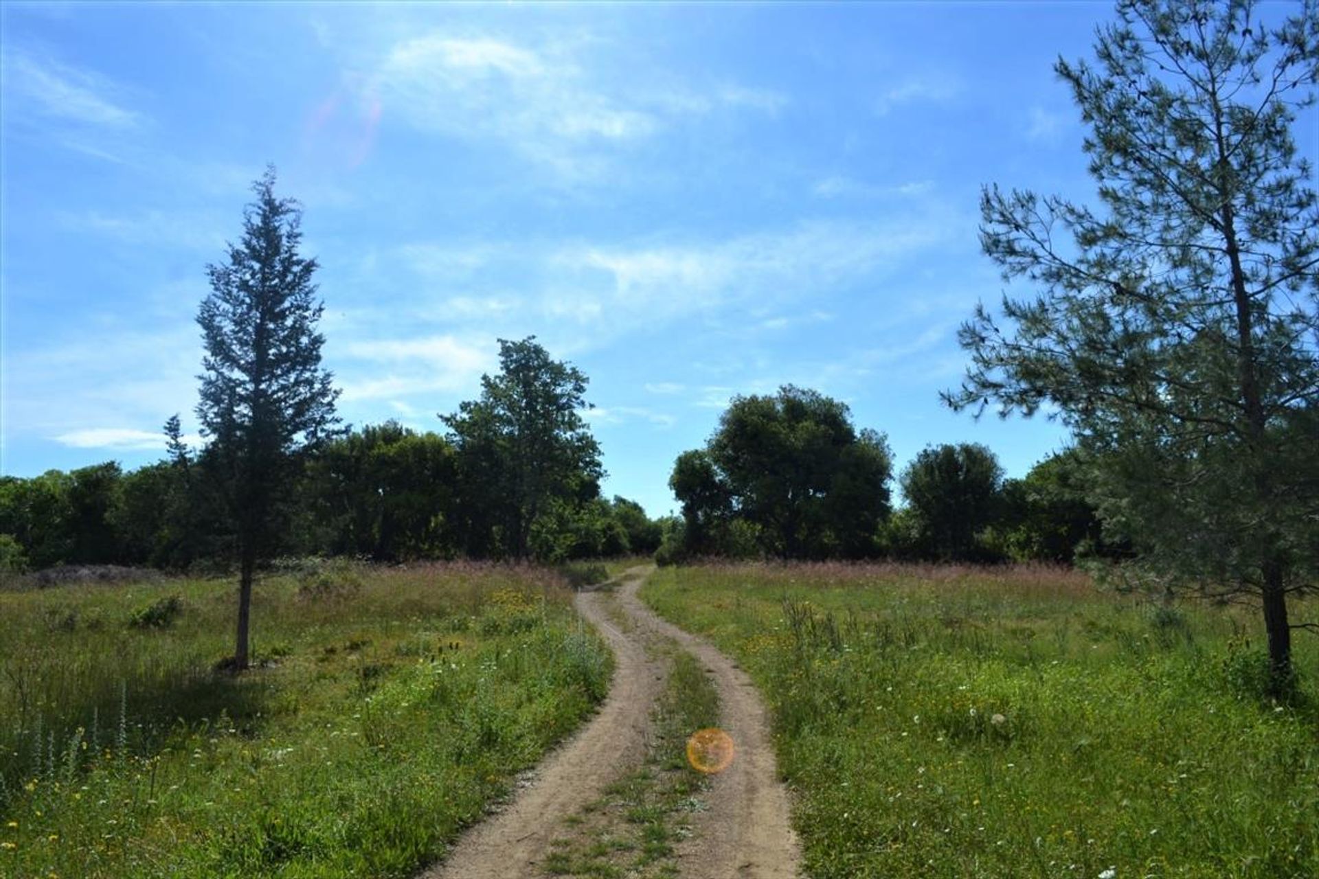 Tierra en Gazatika, Ionia Nisia 10798341