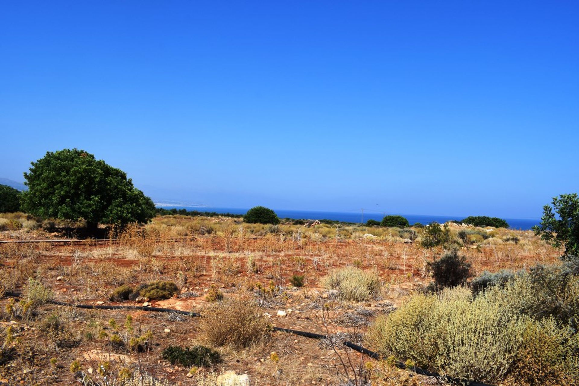 Tierra en Stavrómenos, criti 10798667