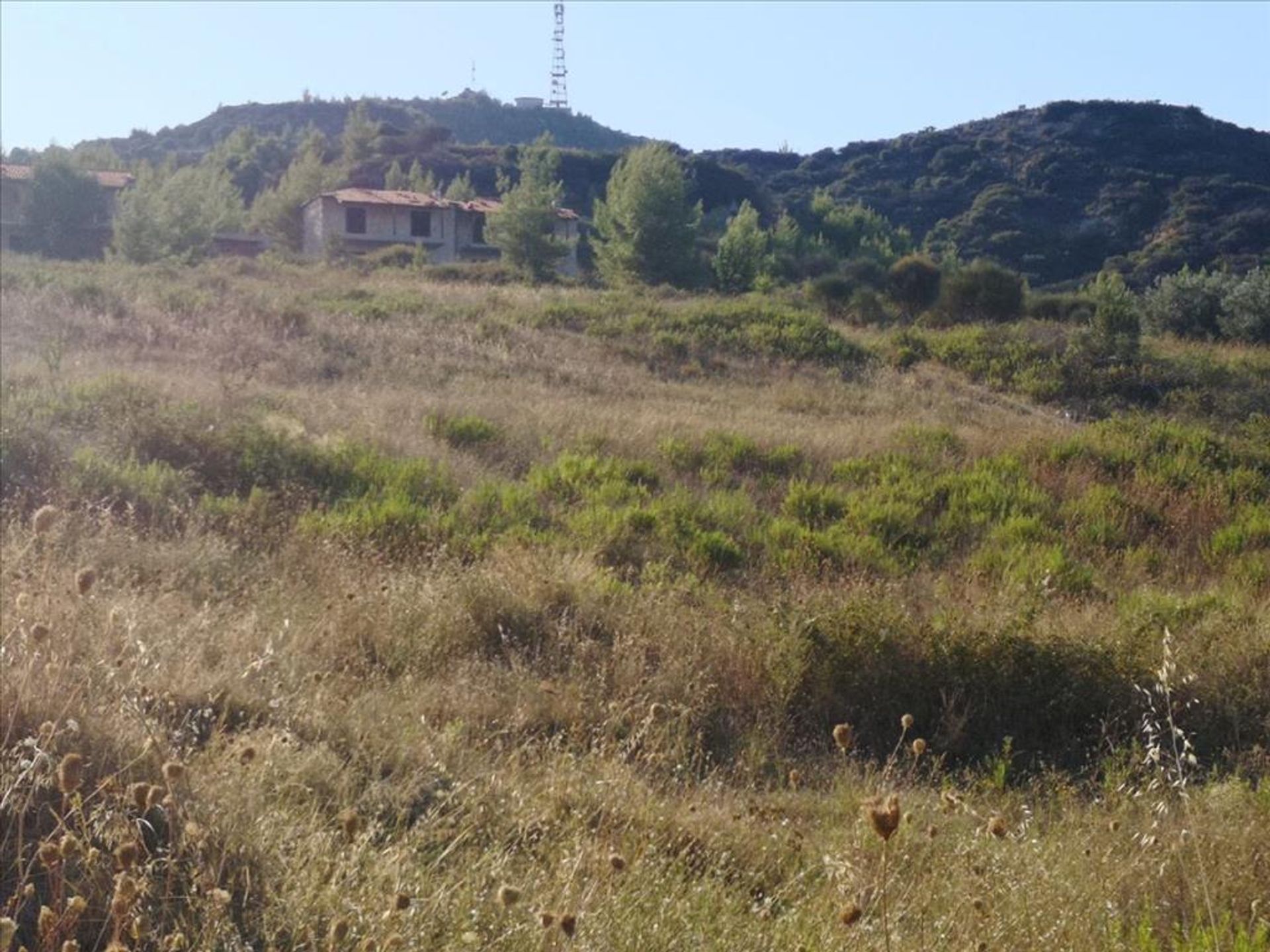 Land in Kassandreia, Kentriki Makedonia 10798734