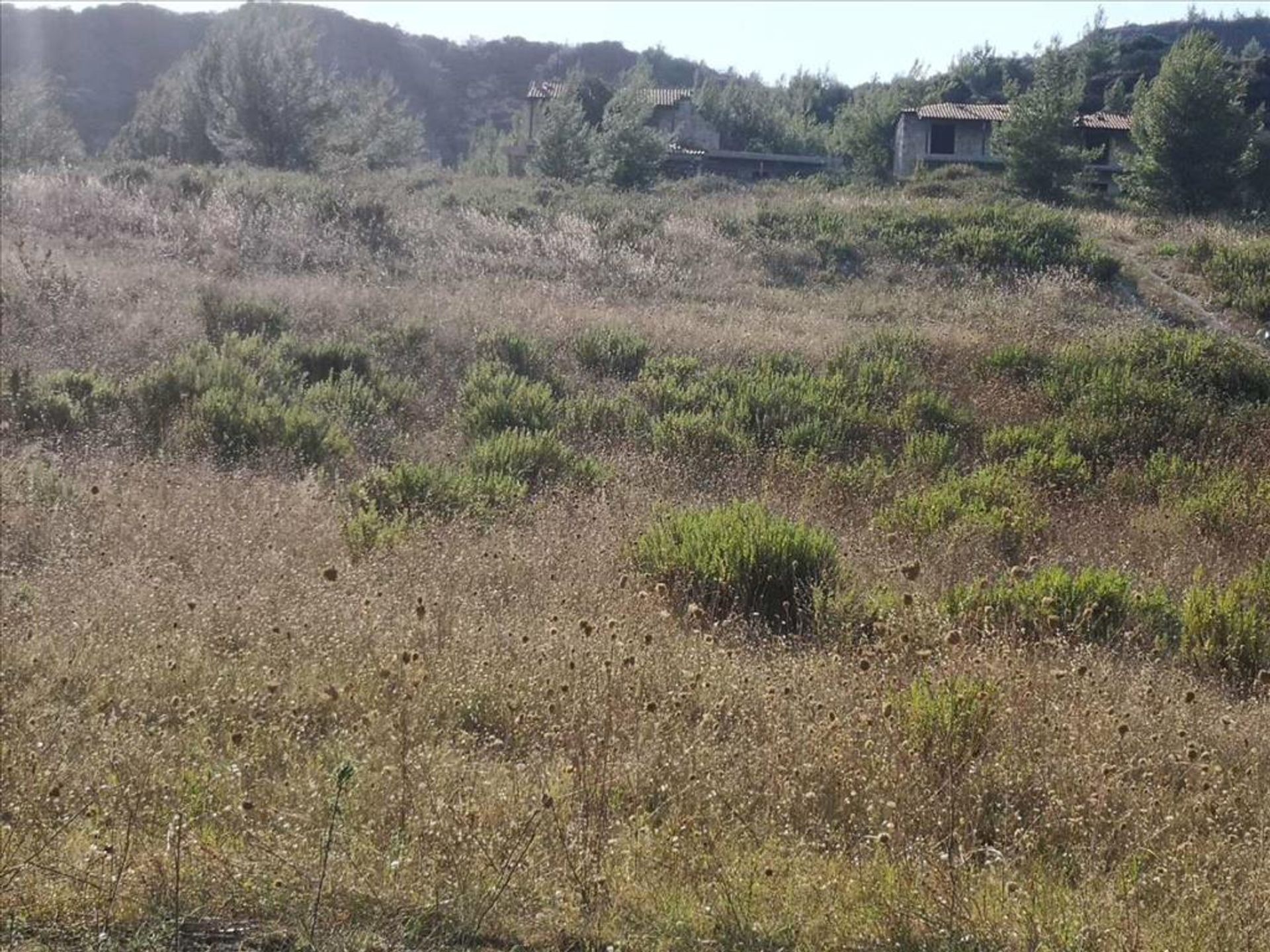 Land i Cassandreia, Kentriki Makedonia 10798734