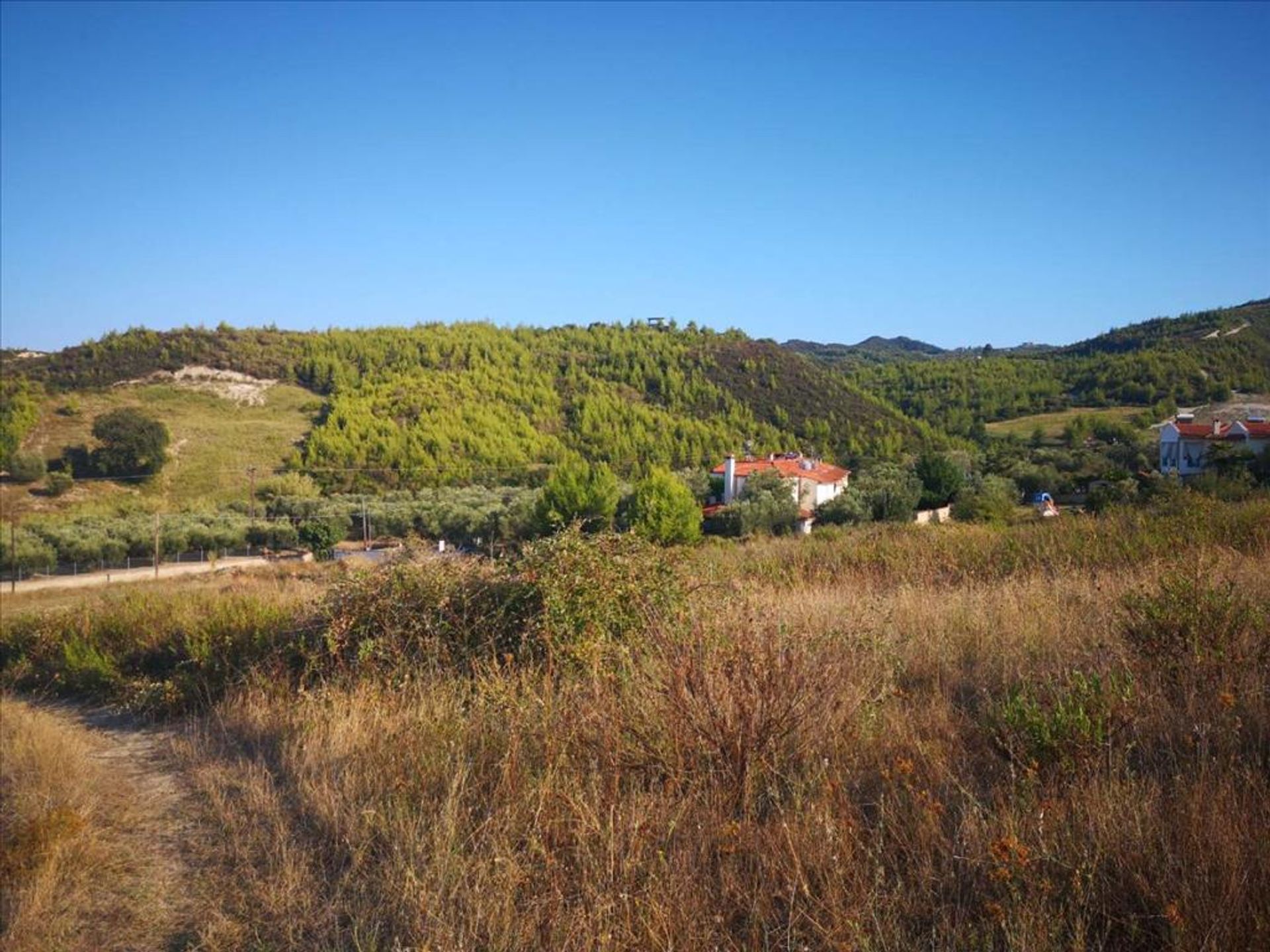 Land i Cassandreia, Kentriki Makedonia 10798734