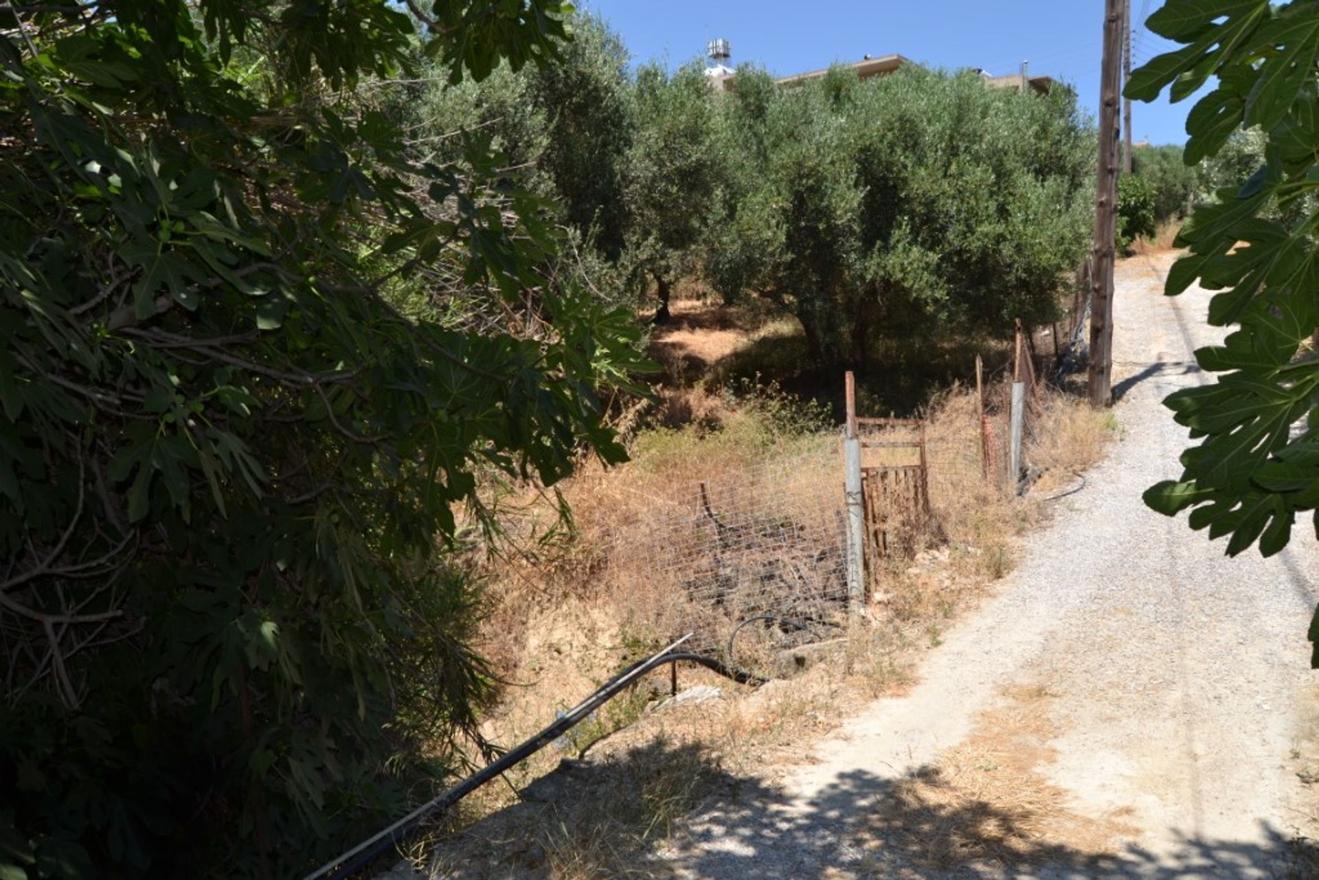 Land in Iraklio,  10798760