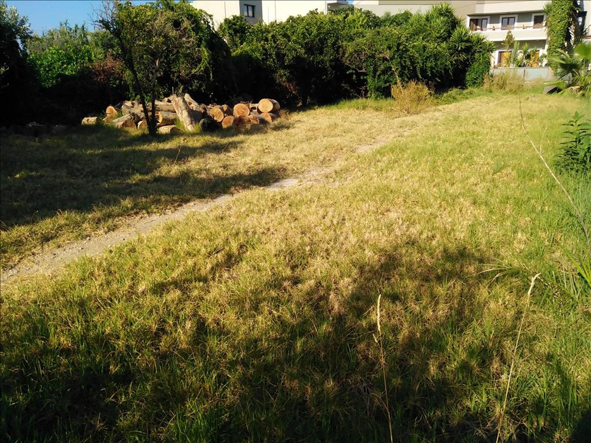 Land im Platanias, Kriti 10798784