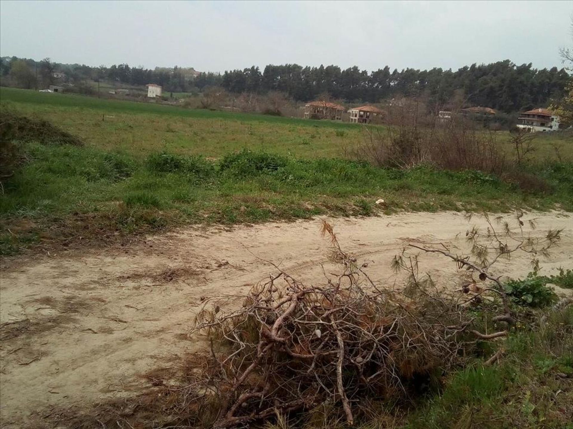 Land i Cassandreia, Kentriki Makedonia 10799030