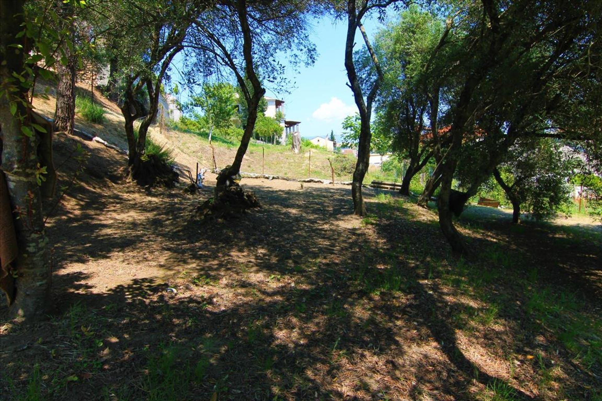 Land in Potamos, Ionia Nisia 10799241