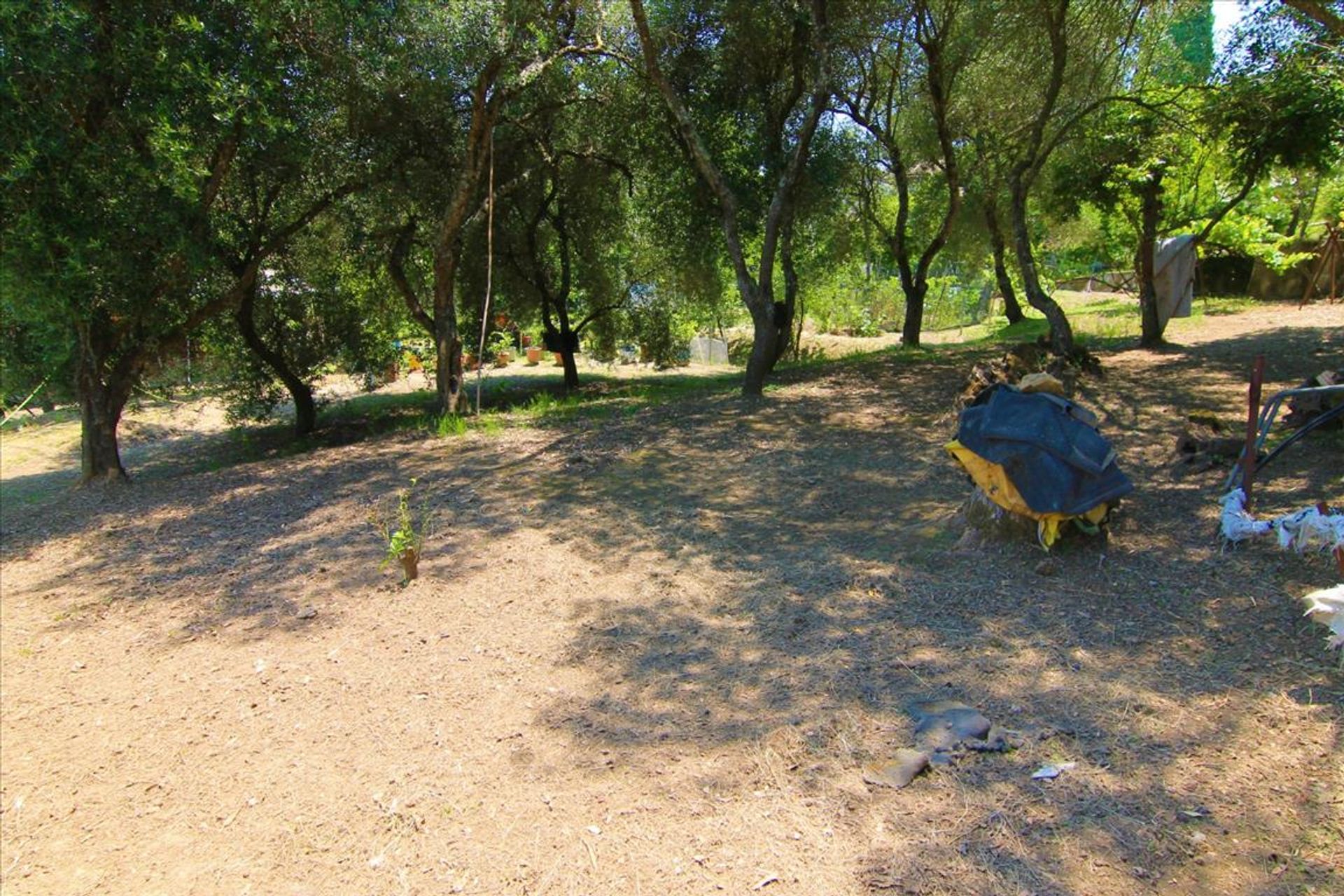 Land in Potamos, Ionia Nisia 10799241