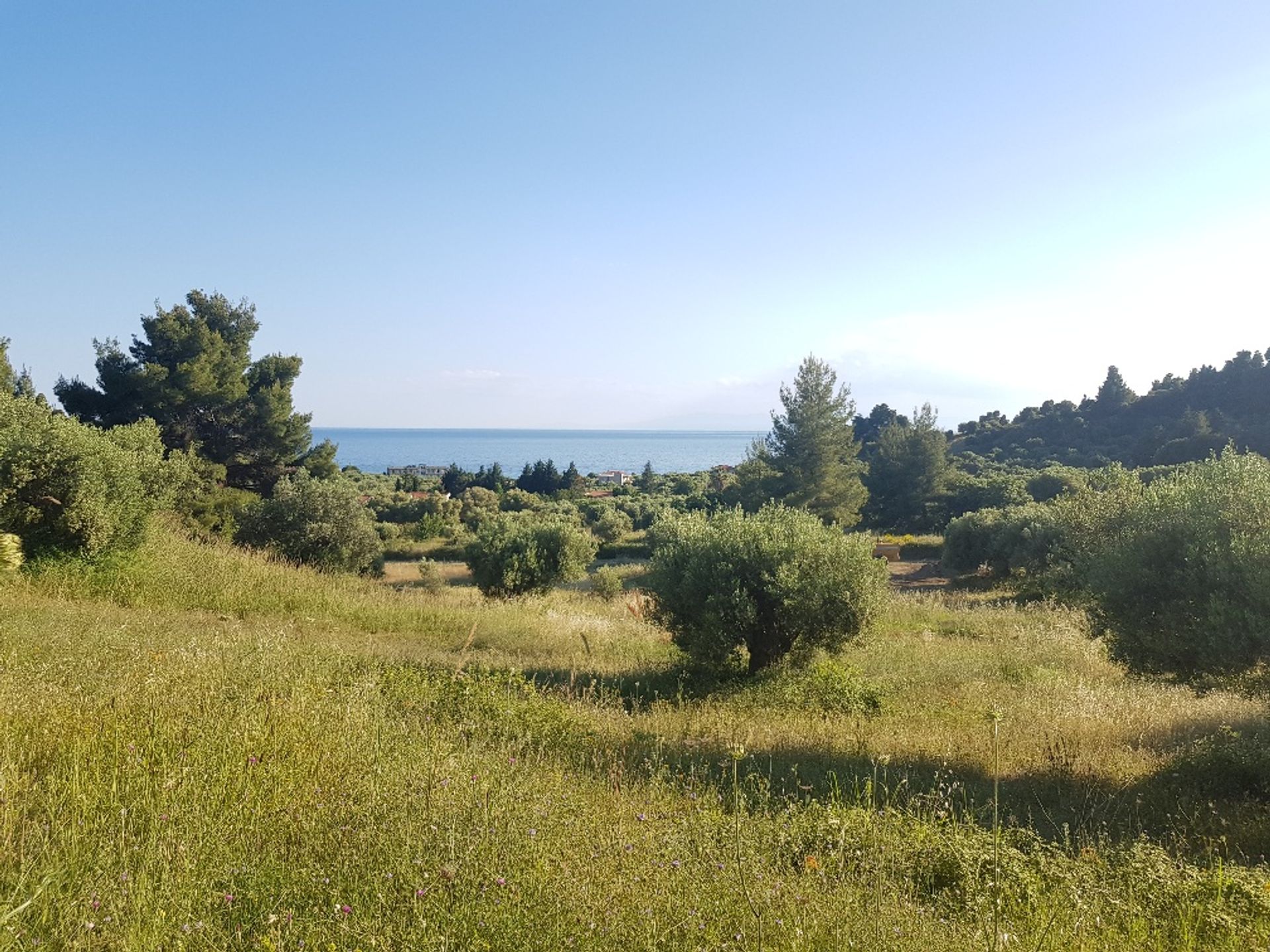 Land in Frama,  10799381