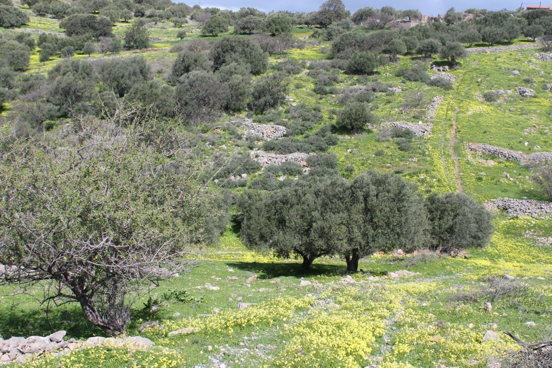 ארץ ב Keratidia, Kriti 10799439