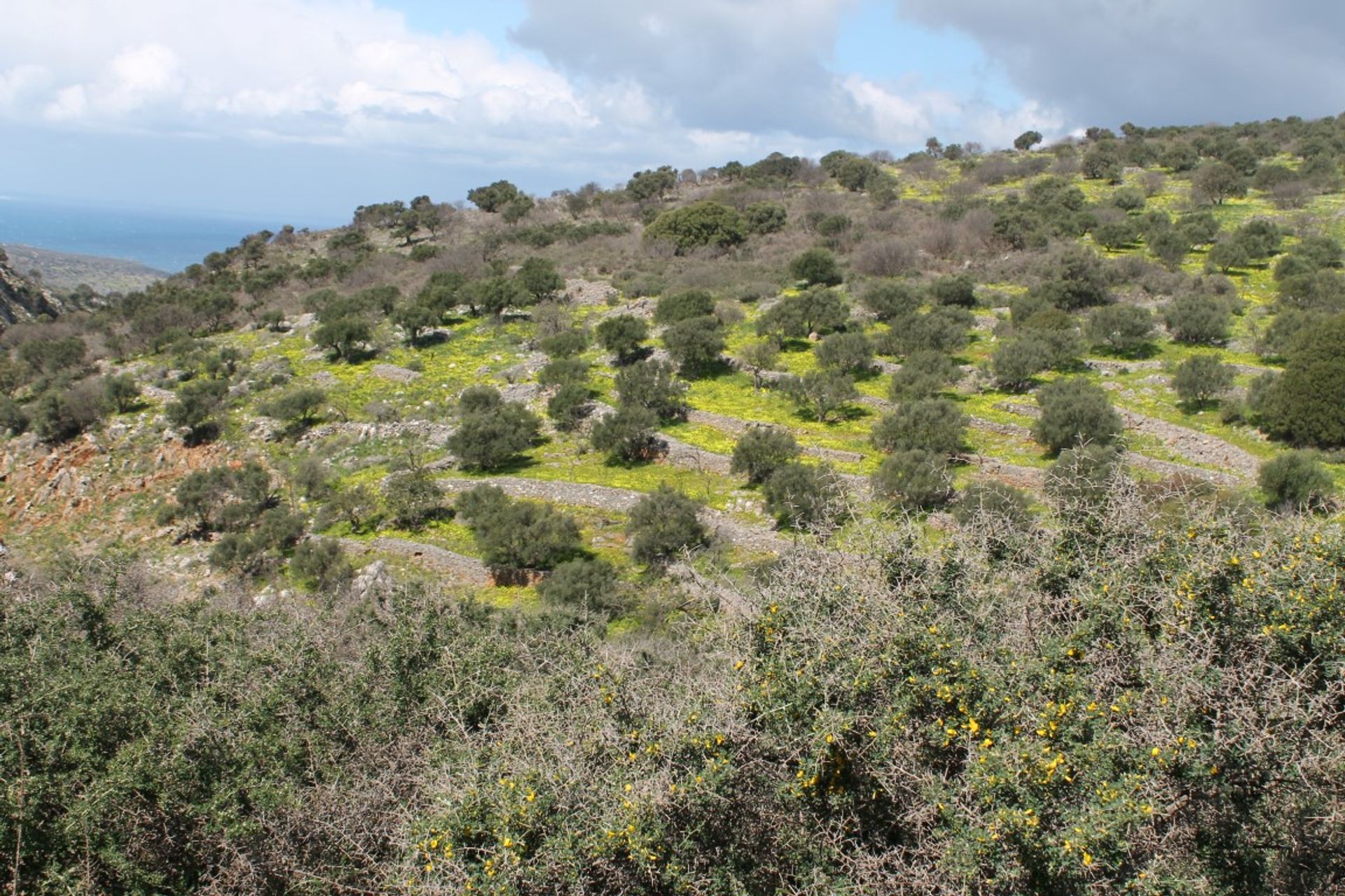 Tanah di Agios Antonios,  10799439