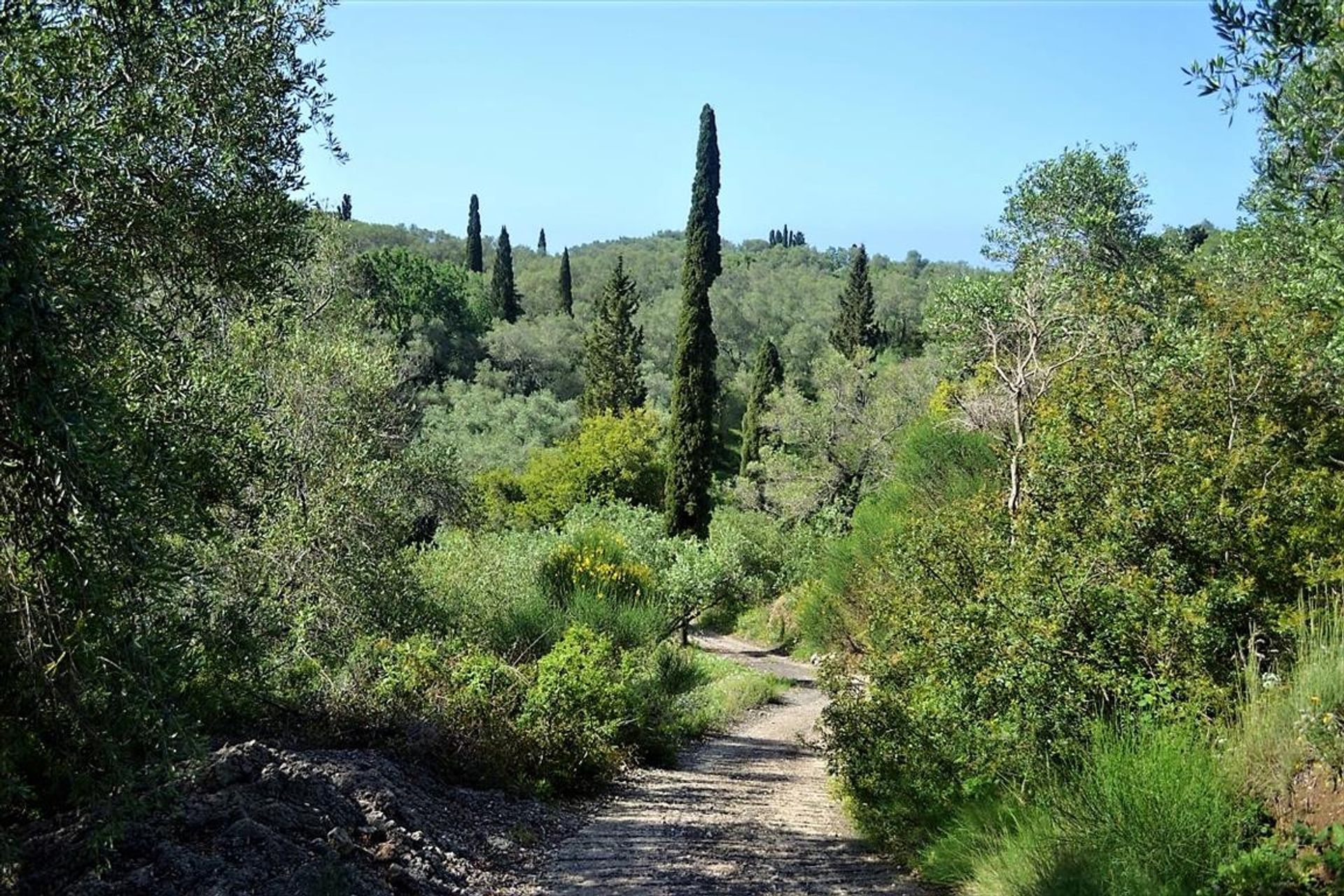 Land in Sinarades, Ionië Nisia 10799449