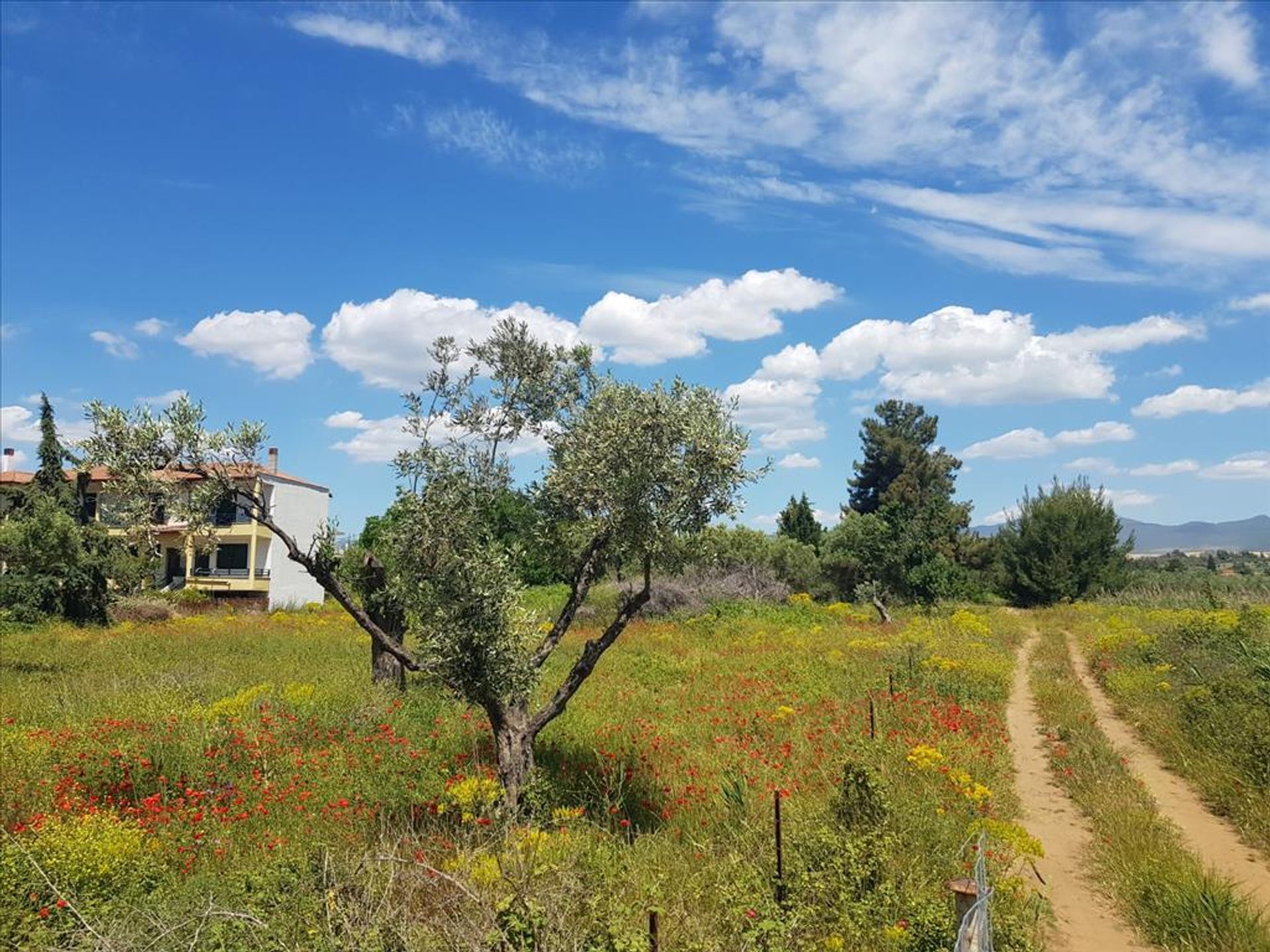 Земля в Геракіні, Kentriki Makedonia 10799477