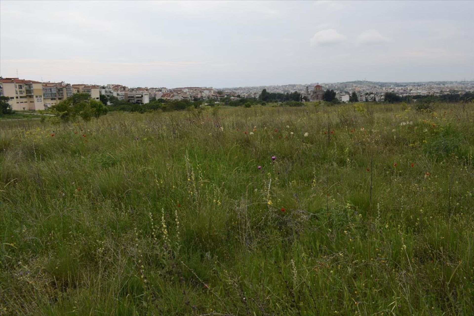 Land in Sykies, Kentriki Makedonia 10799582